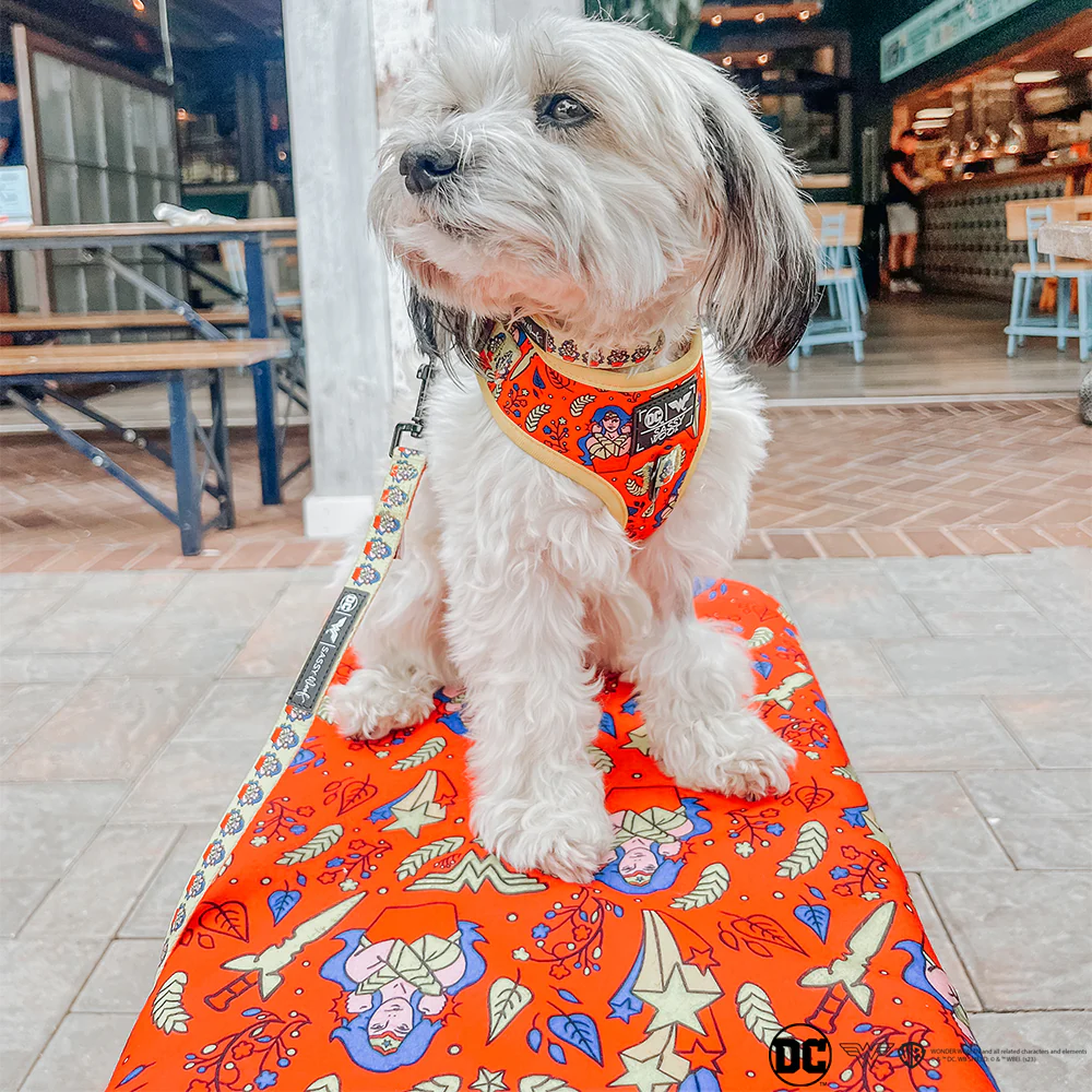 Pet Blanket - Wonder Woman™ - Image 5