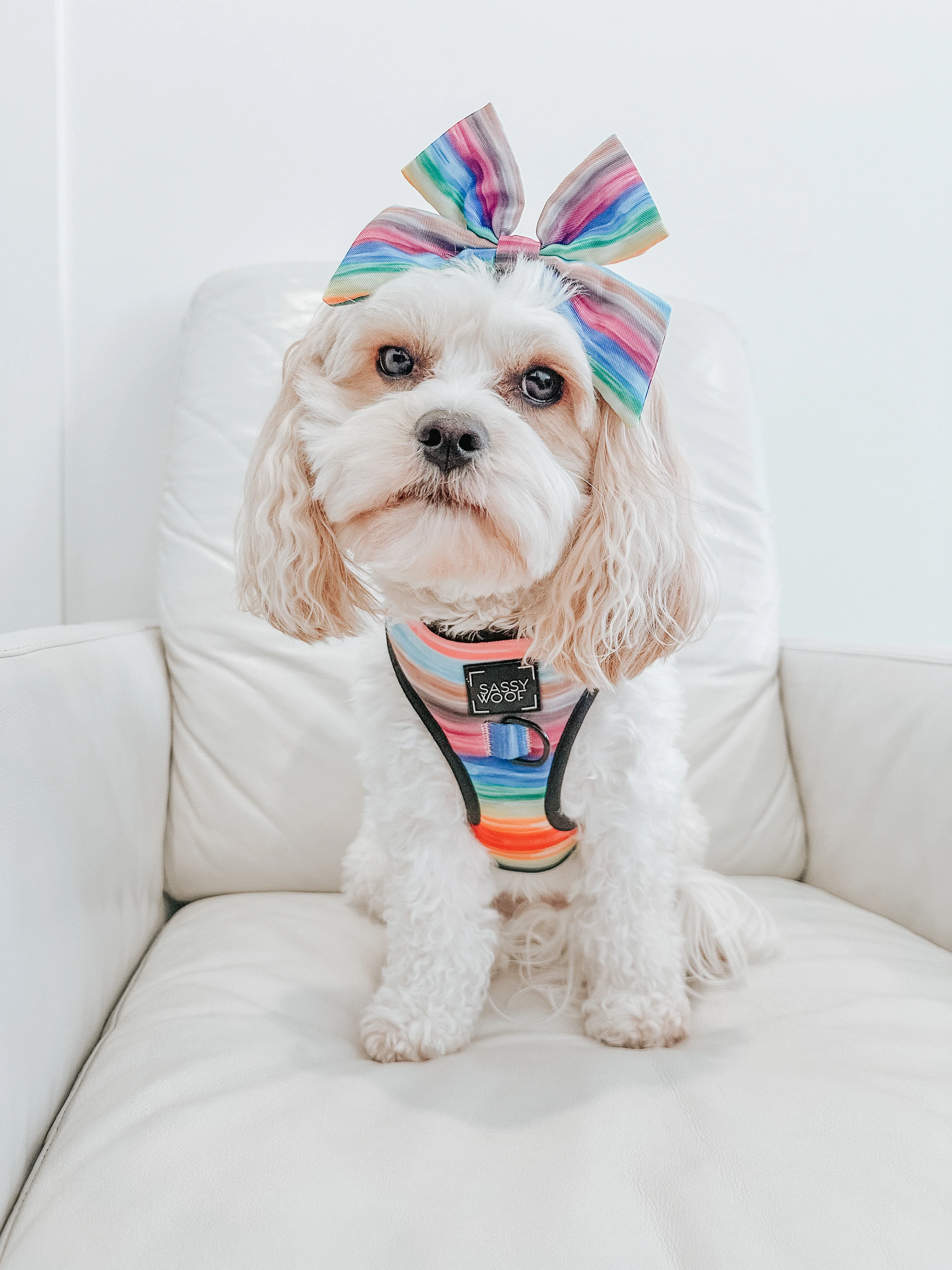 Dog Sailor Bow - Love You Fur You - Image 11