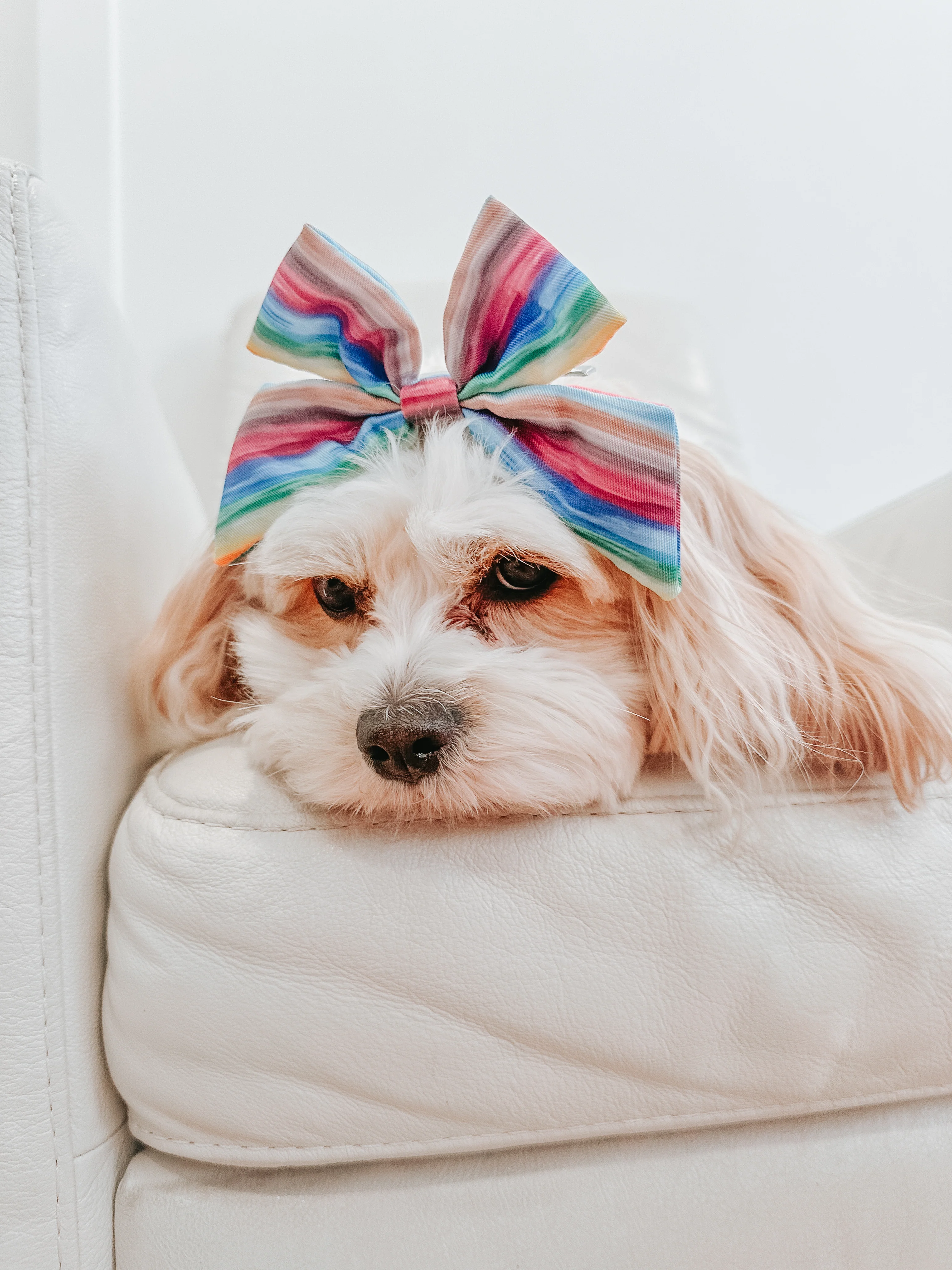 Dog Sailor Bow - Love You Fur You - Image 12