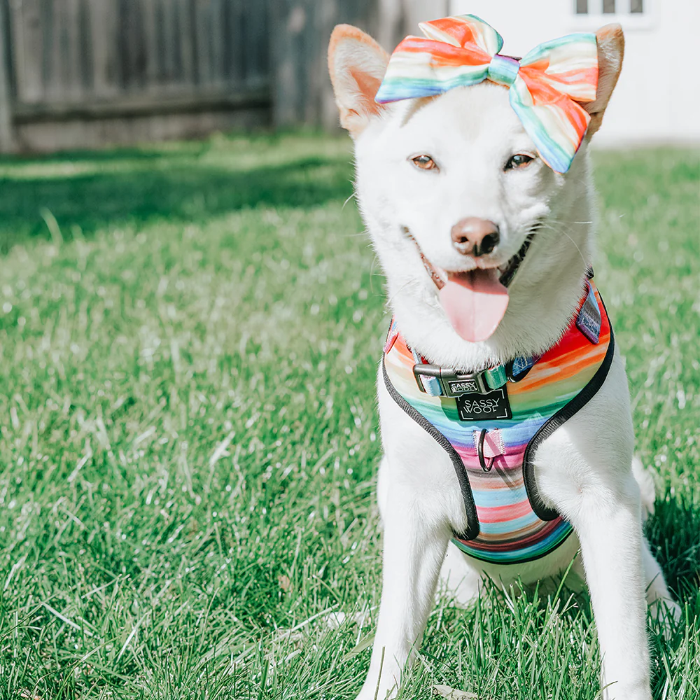 Dog Sailor Bow - Love You Fur You - Image 13