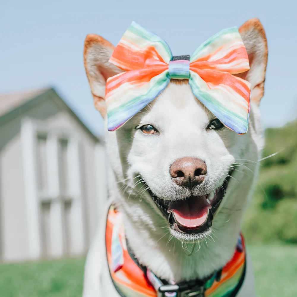 Dog Sailor Bow - Love You Fur You - Image 14