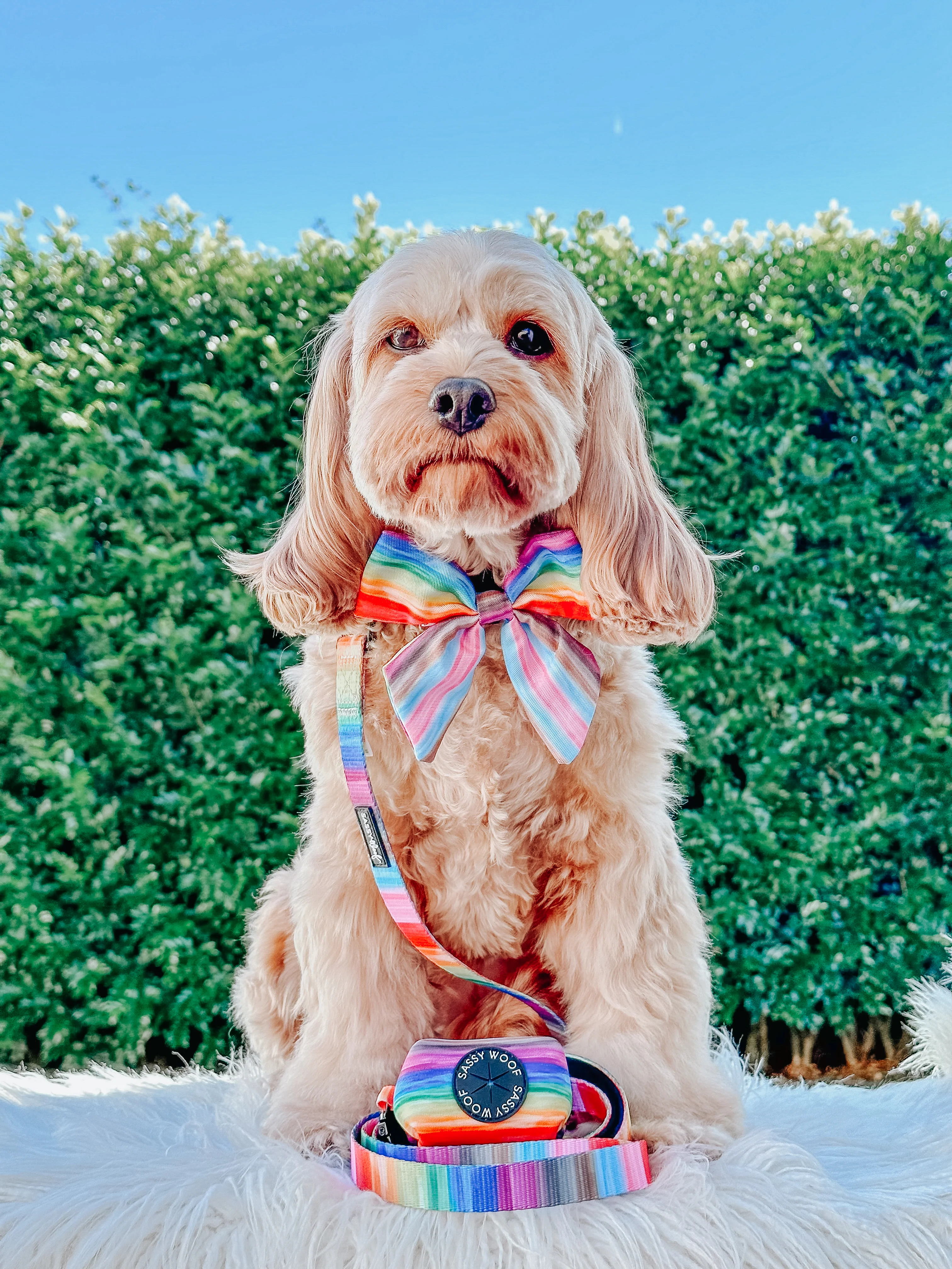 Dog Sailor Bow - Love You Fur You - Image 5