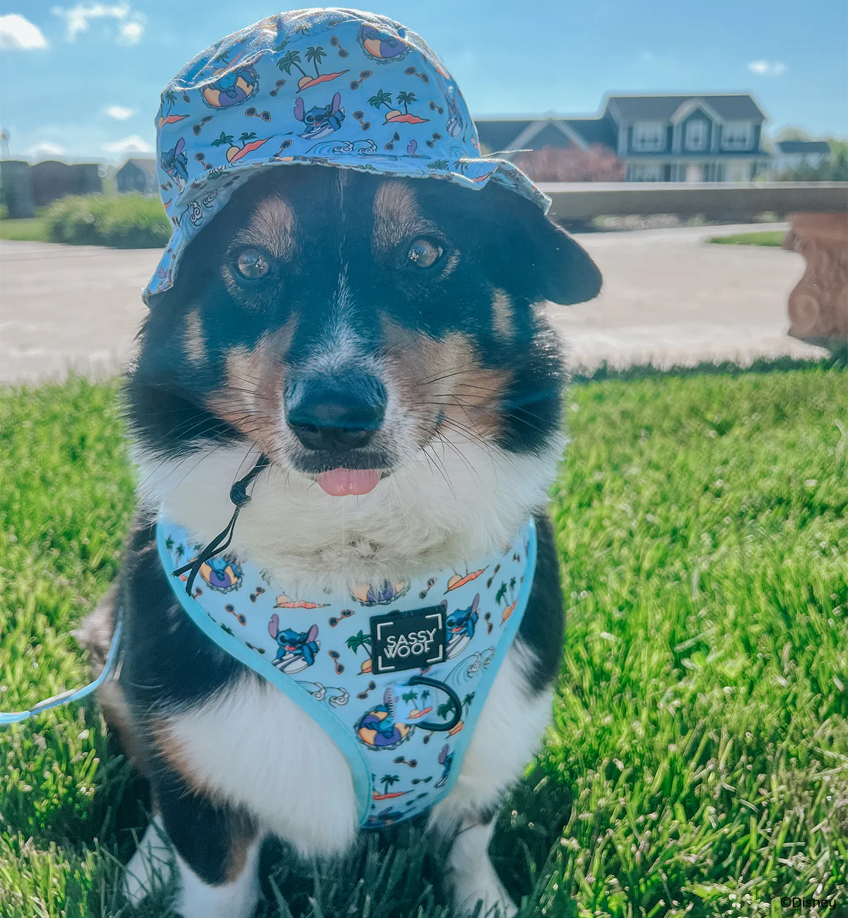 Dog Bucket Hat - Disney's Stitch - Image 9