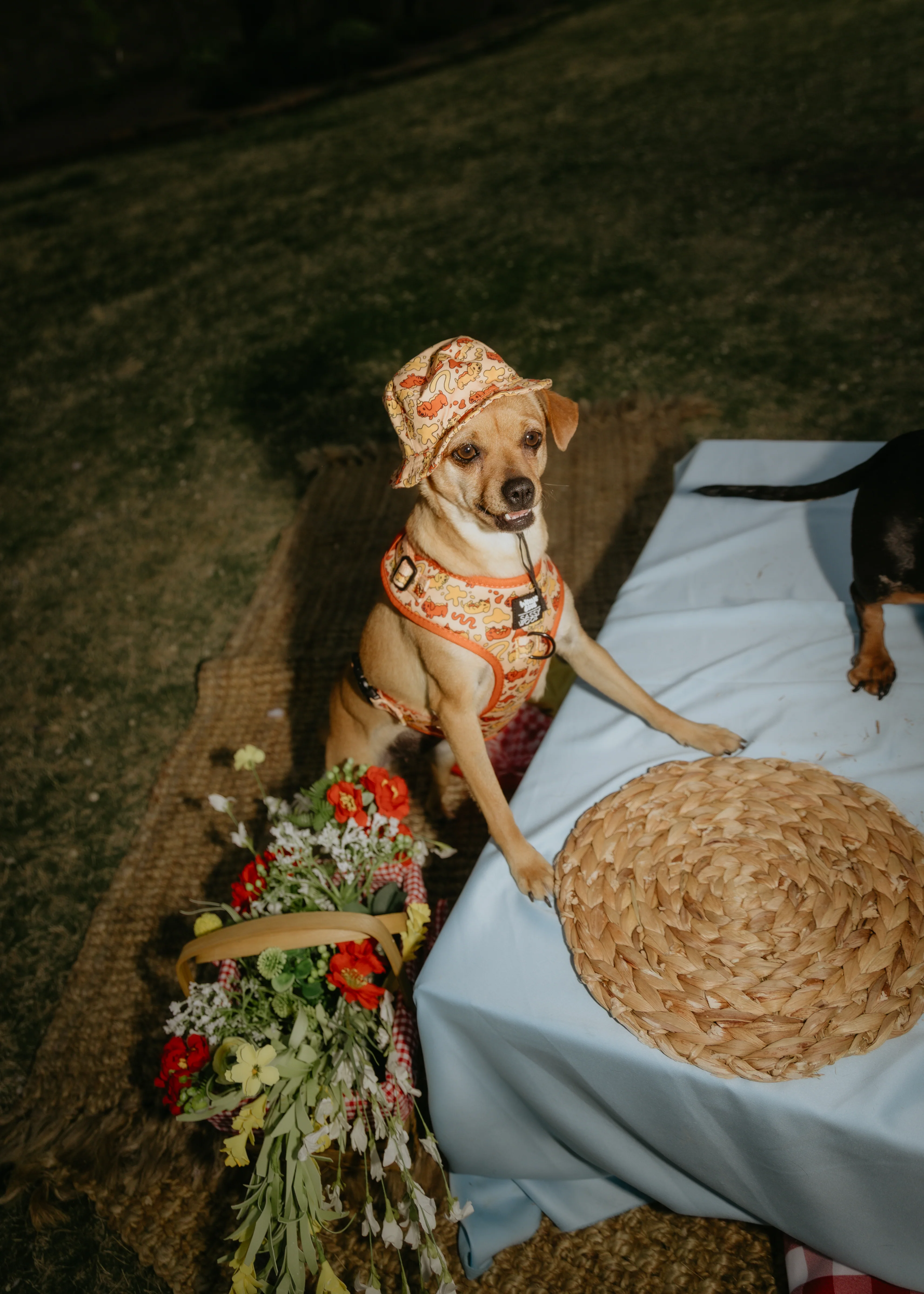 Dog Bucket Hat - Hot Dawg - Image 4
