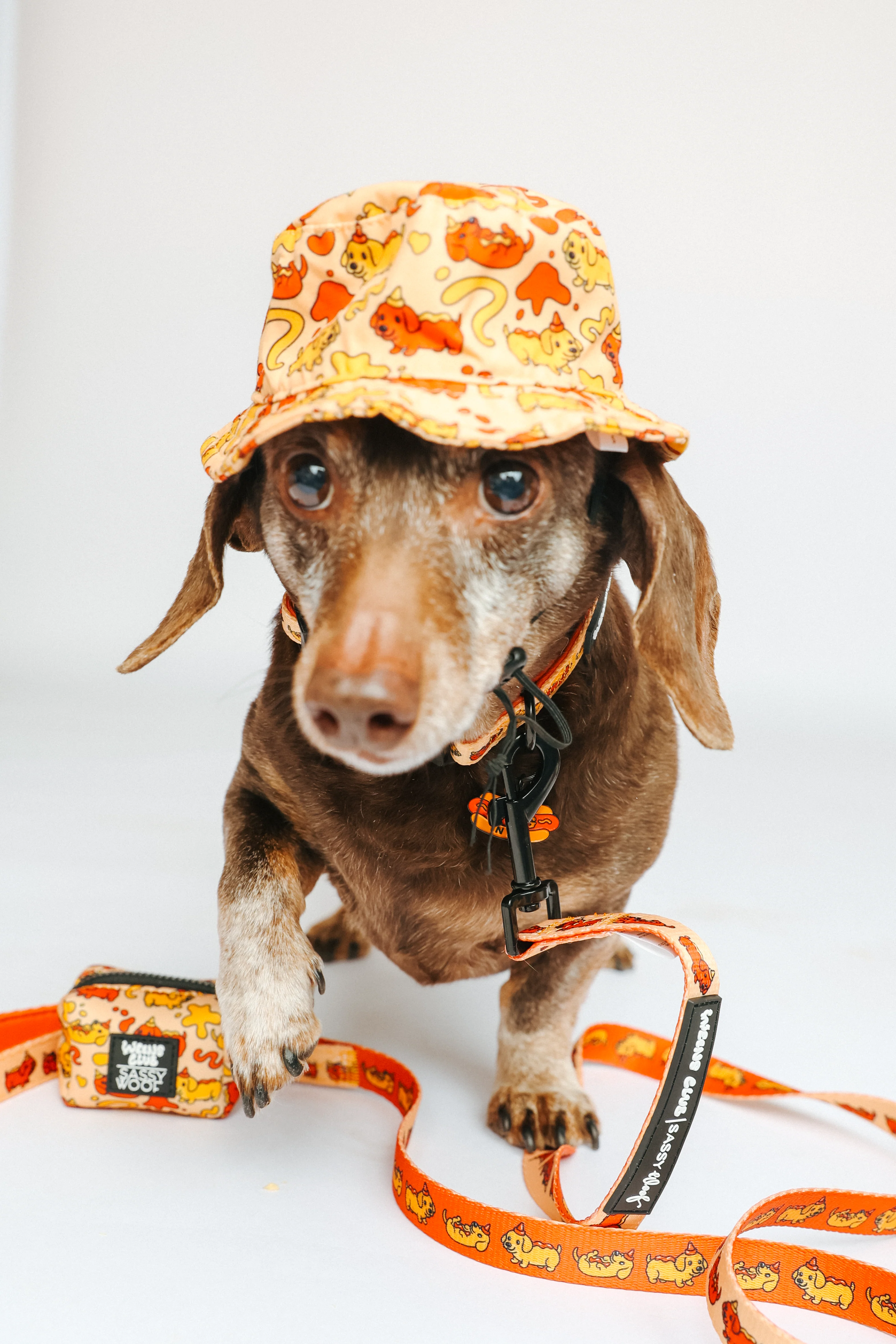 Dog Bucket Hat - Hot Dawg - Image 6