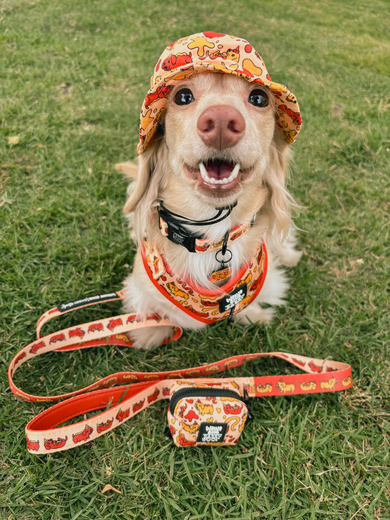 Dog Waste Bag Holder - Hot Dawg - Image 8
