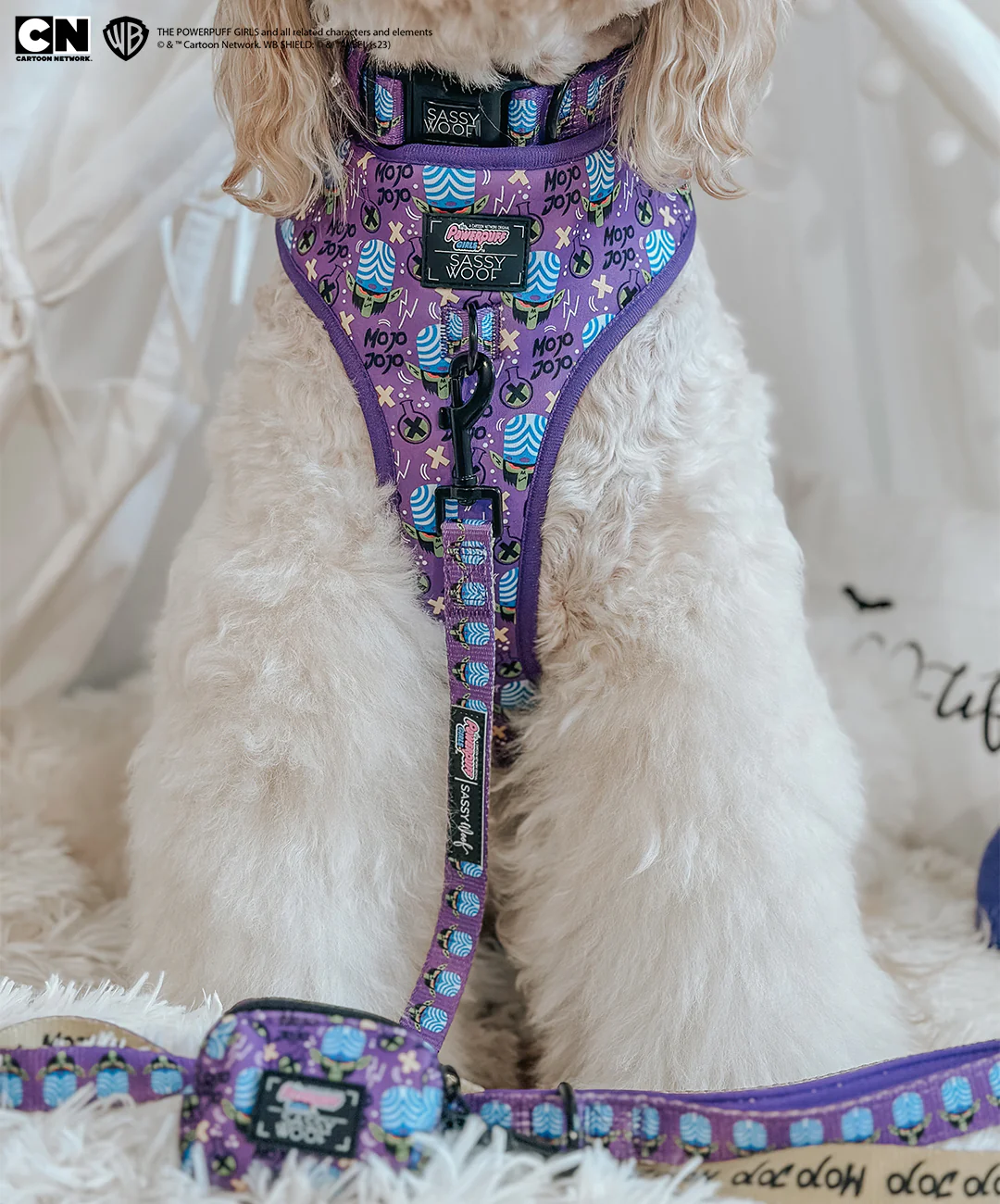 Dog Four Piece Bundle - Mojo Jojo™ - Image 14