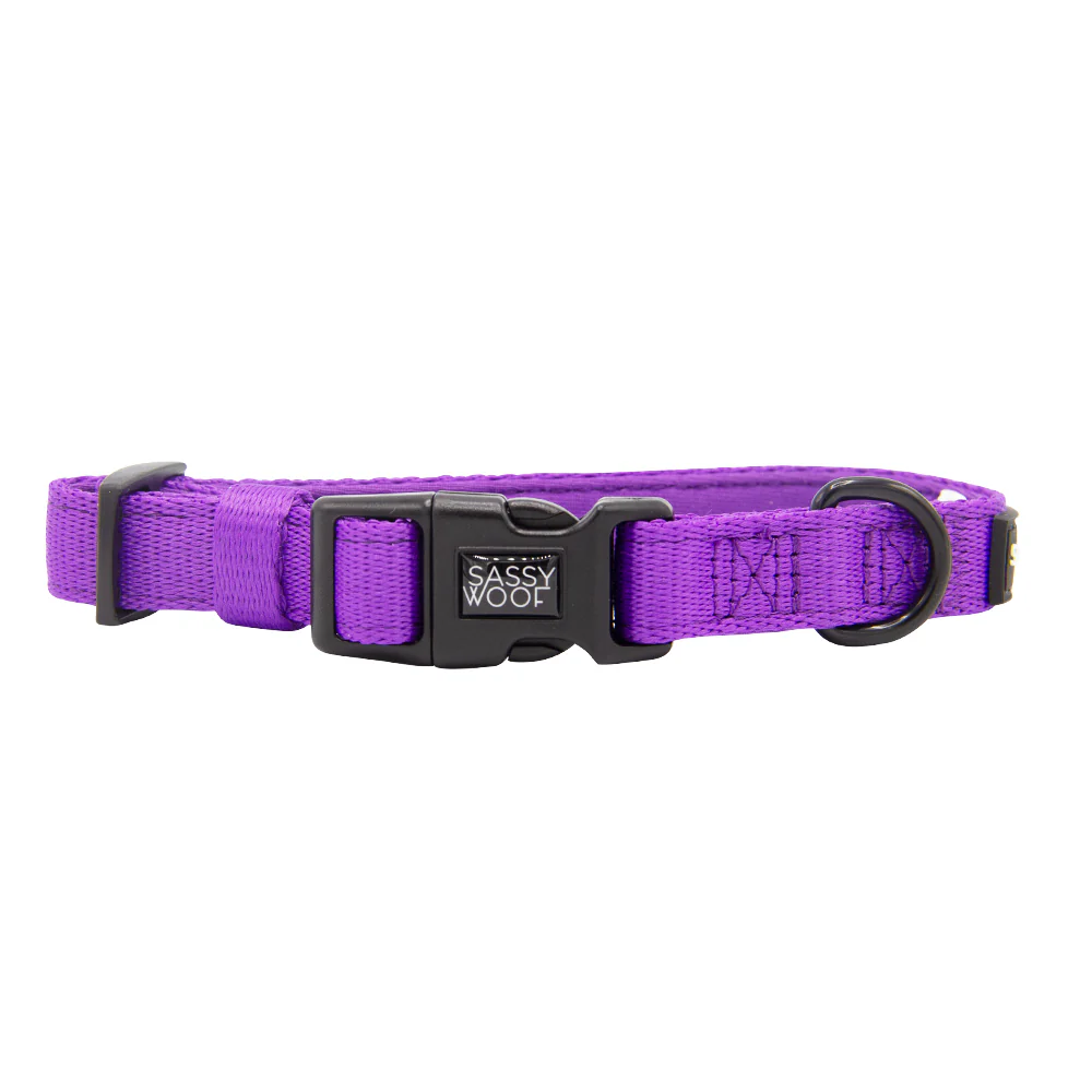 Dog Four Piece Bundle - Neon Purple - Image 3