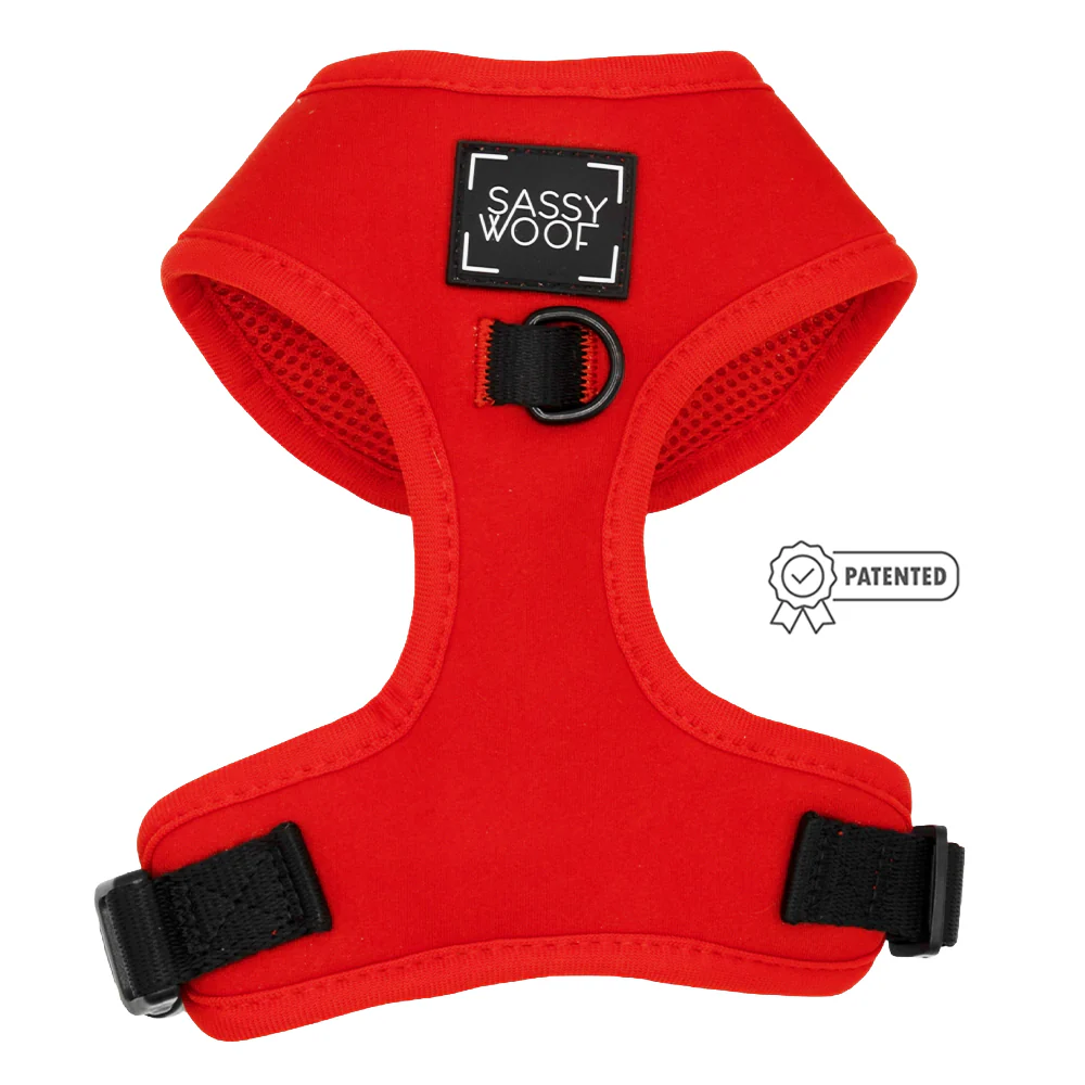 Dog Four Piece Bundle - Neon Red - Image 2