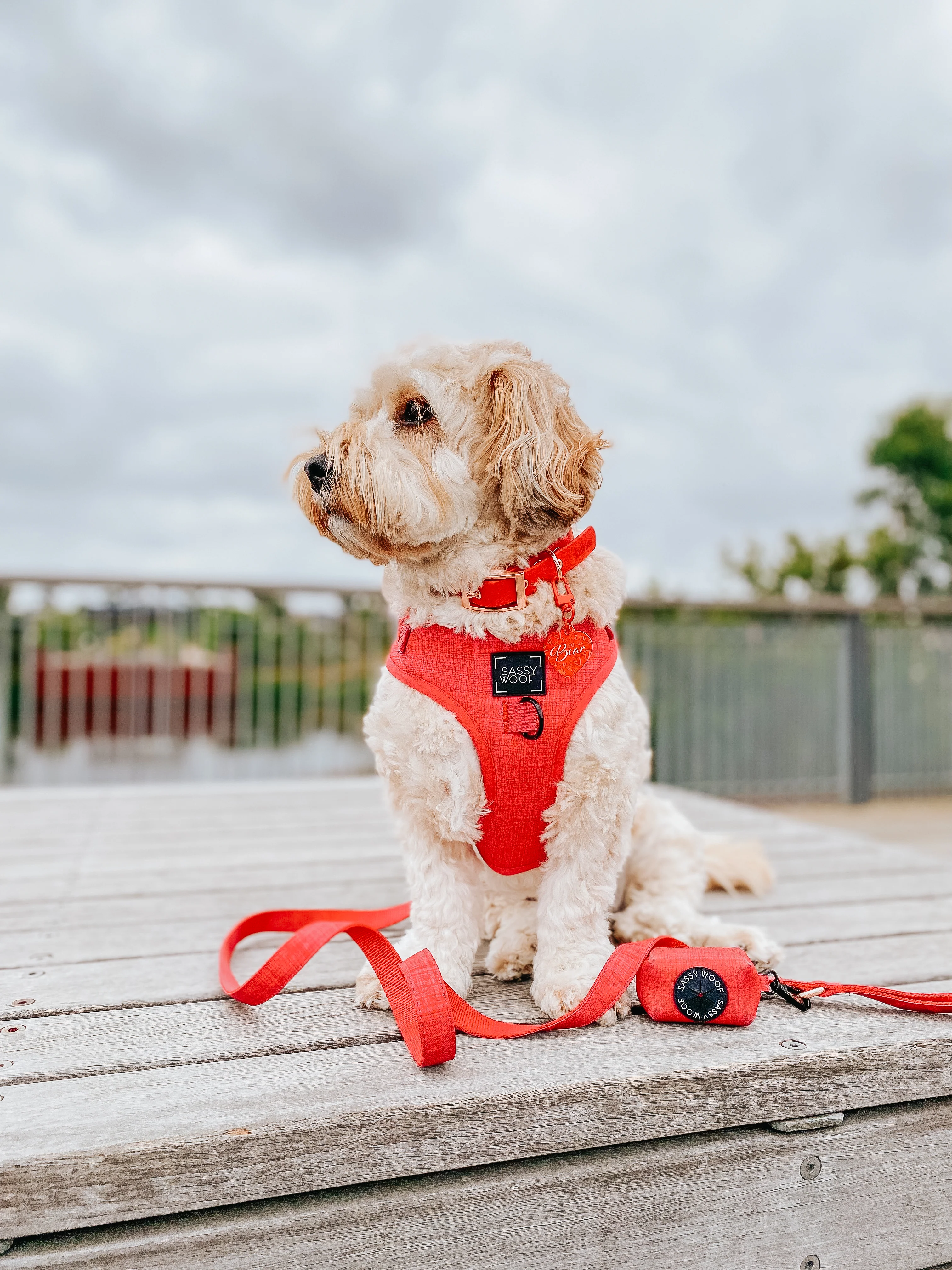 Dog Four Piece Bundle - Merlot - Image 15