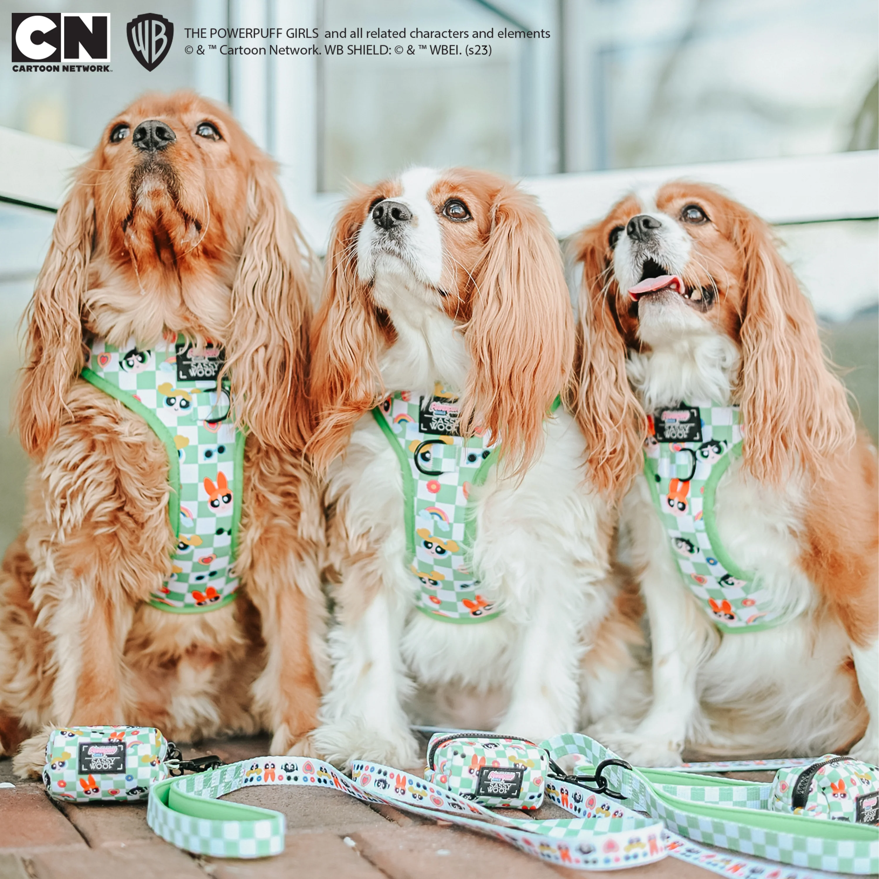 Dog Four Piece Bundle - The Powerpuff Girls™ (Green) - Image 13