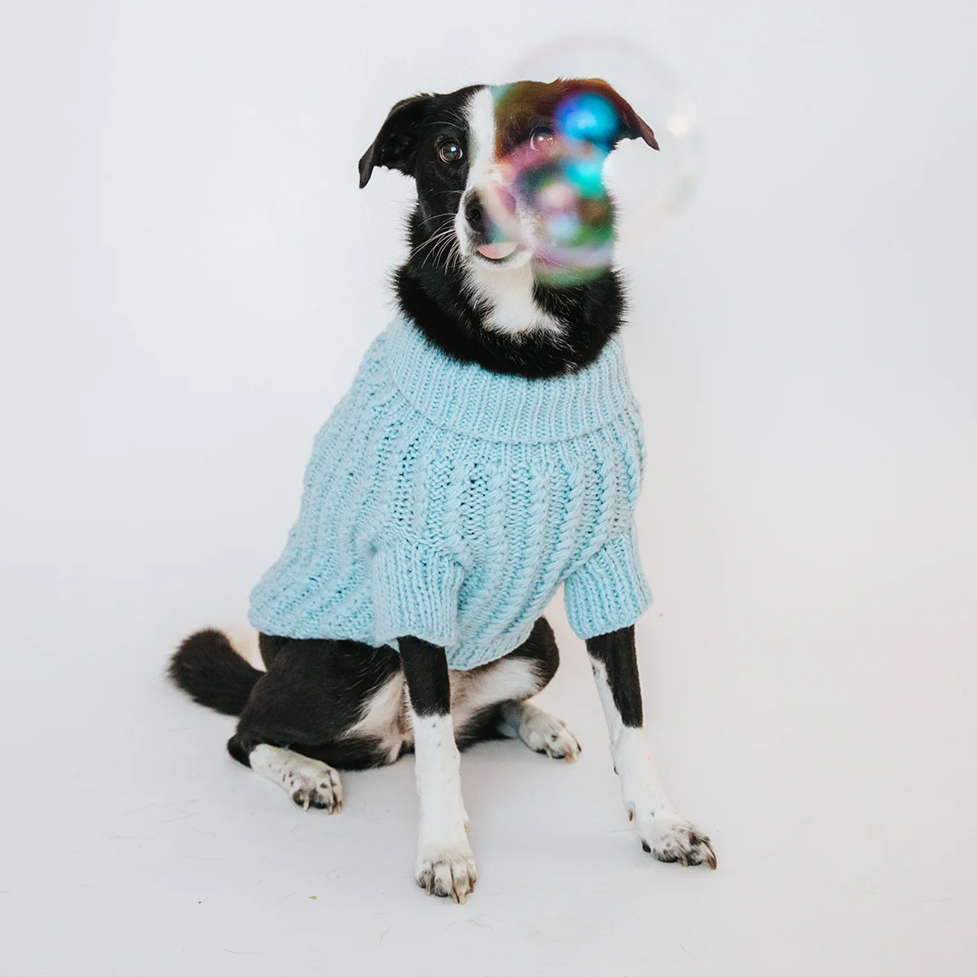 Pet Cable Knit Sweater - Light Blue - Image 5