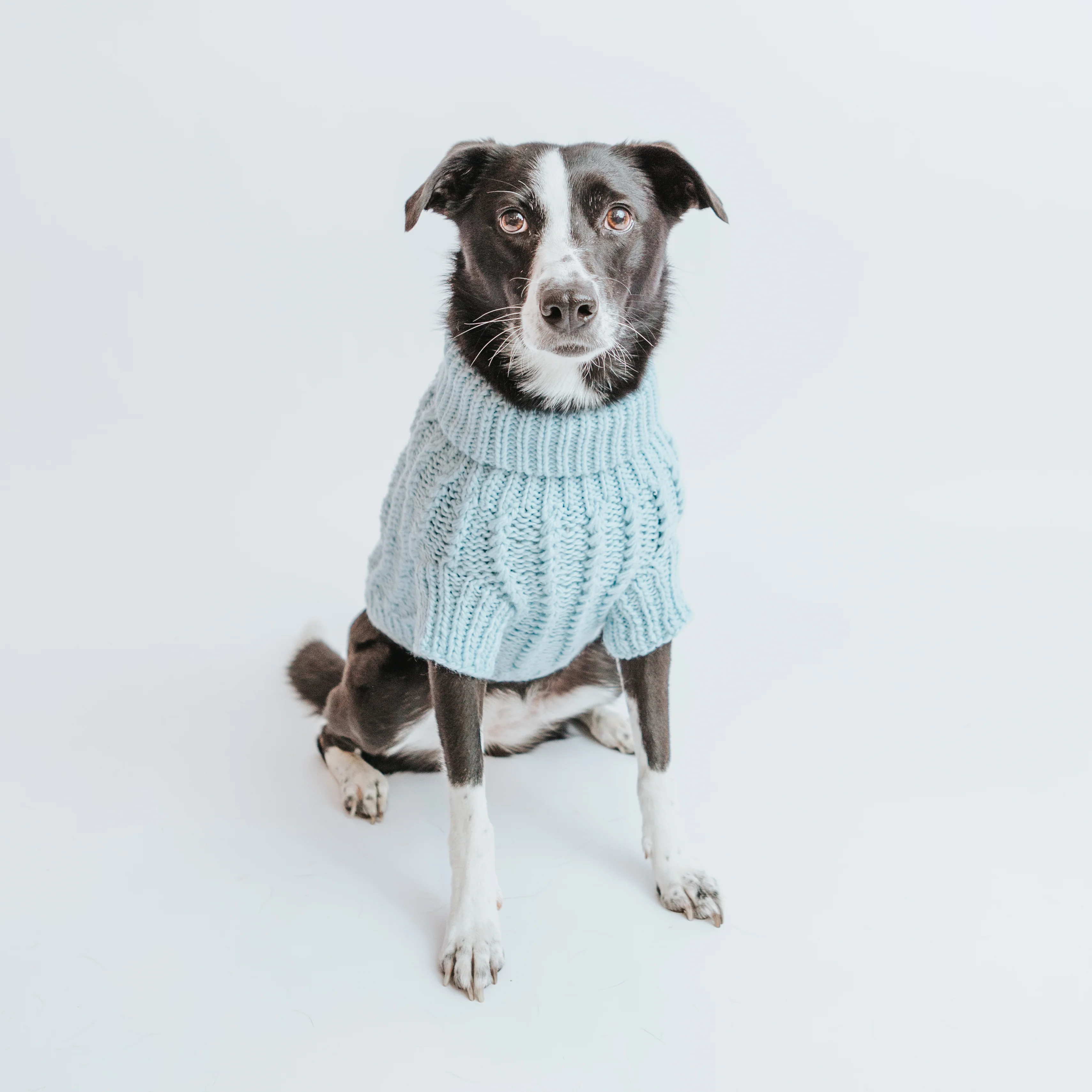Pet Cable Knit Sweater - Light Blue - Image 9