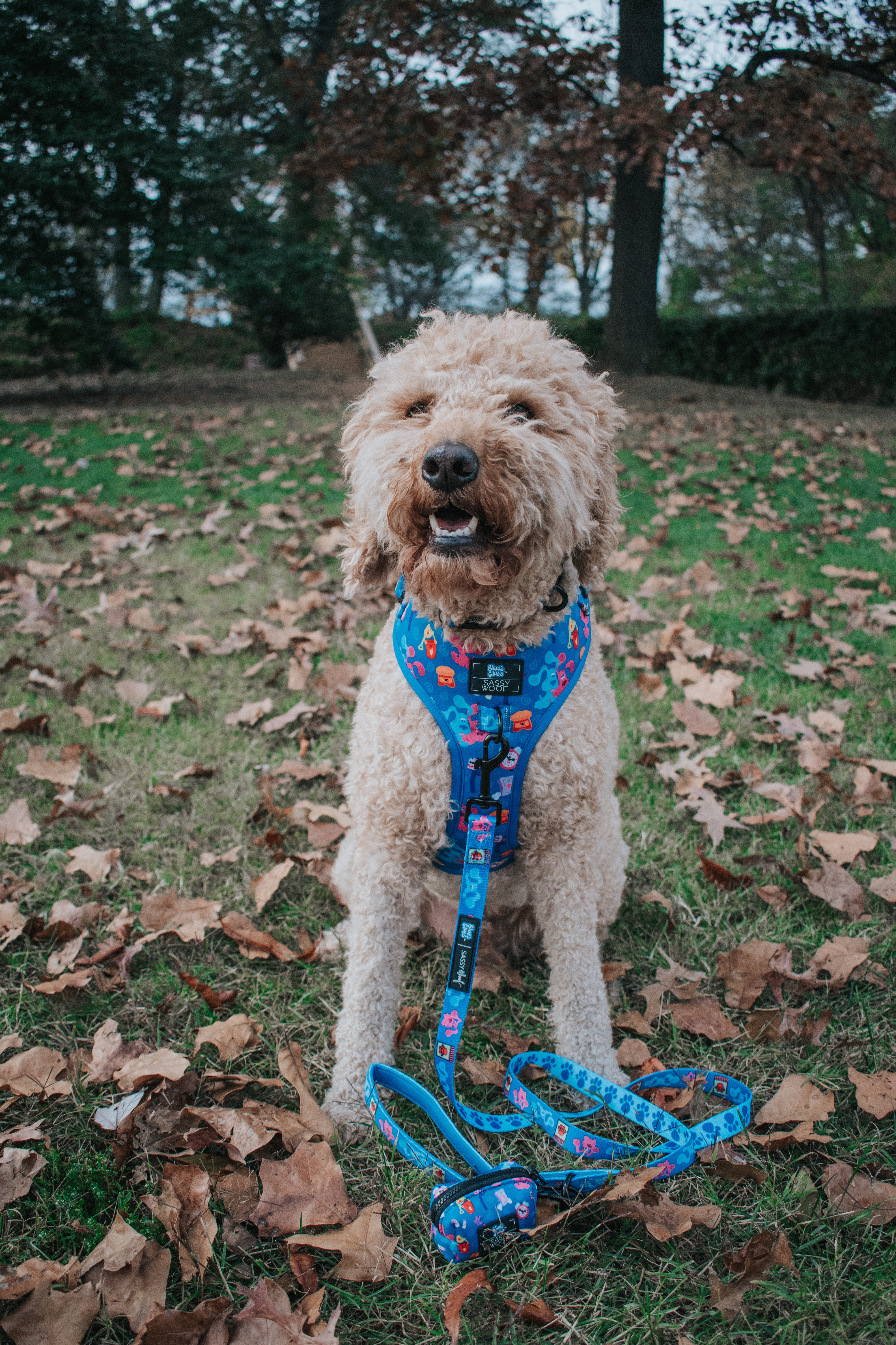 Dog Collar - Blue's Clues™ - Image 9