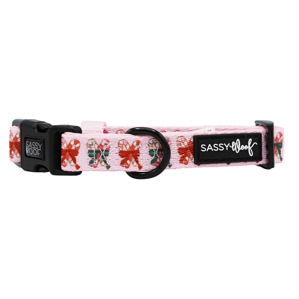 Dog Collar - Candy Cane Coquette - Image 3