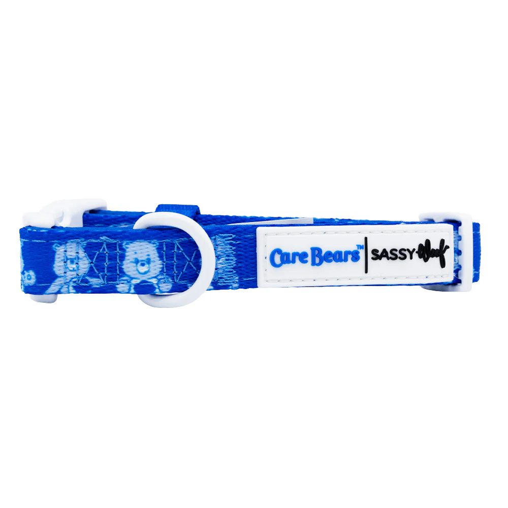 Dog Collar - Care Bears™ Grumpy Bear - Image 3