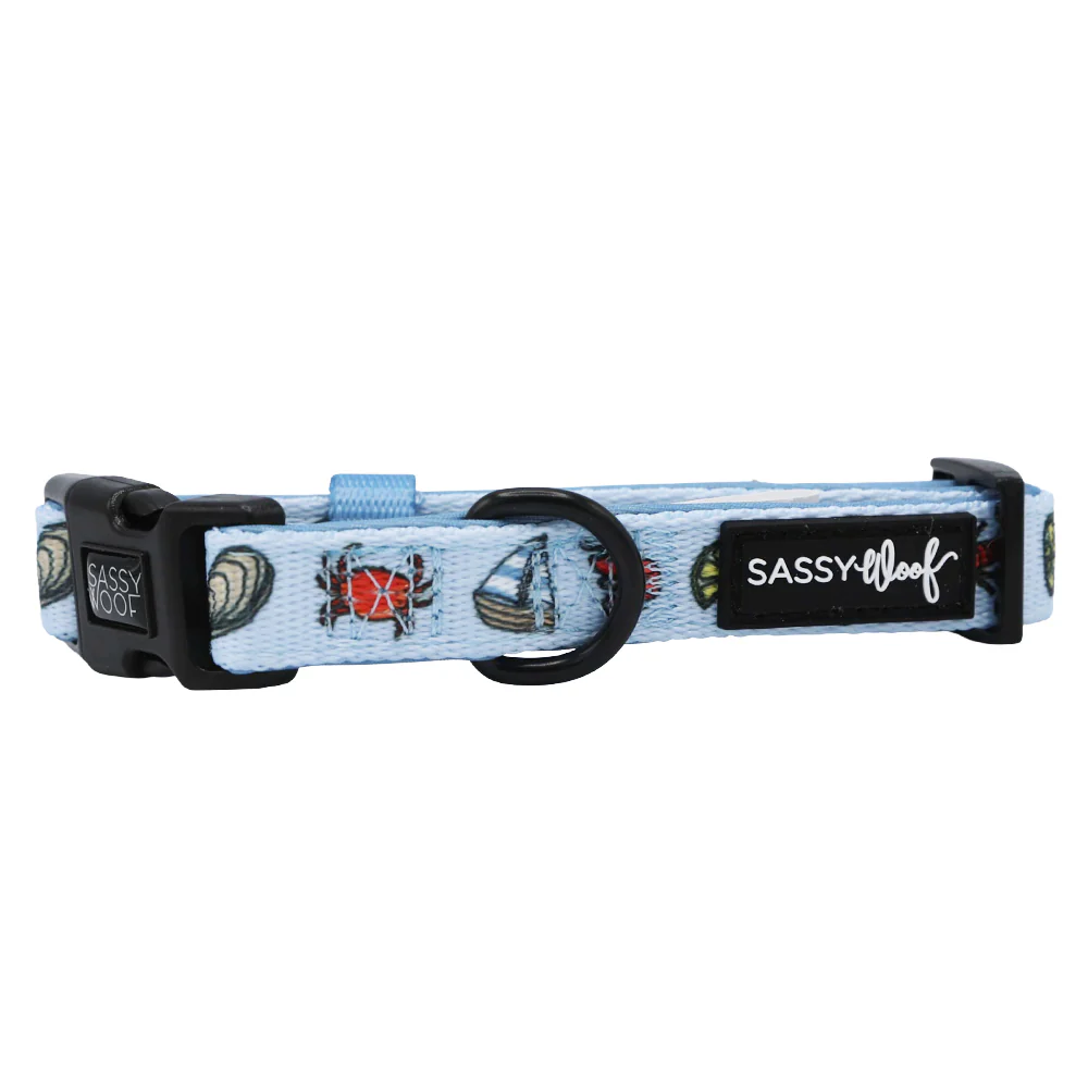 Dog Collar - Coastal Cuties - Image 3