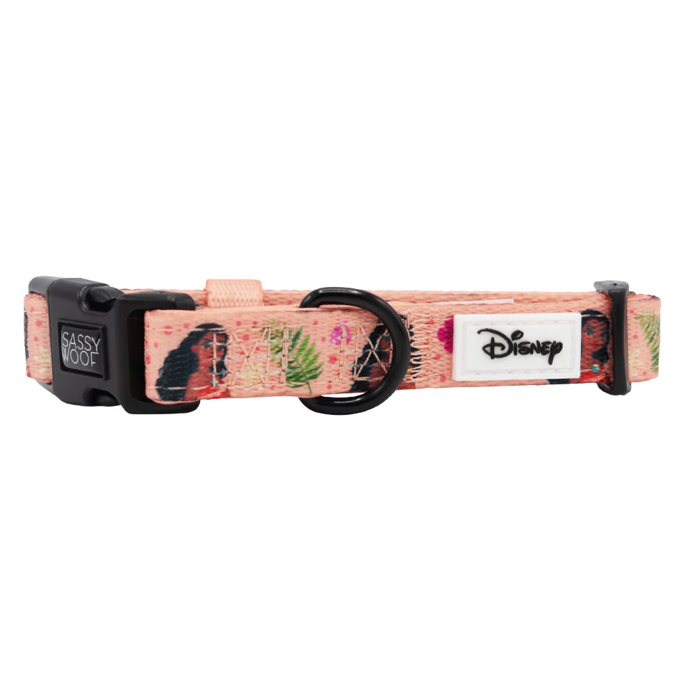 Dog Collar - Disney's Moana - Image 3