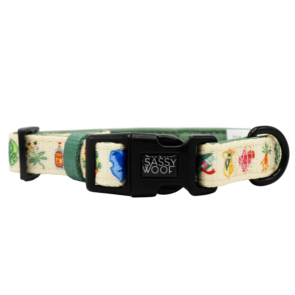 Dog Collar - Harry Potter™ Herbology - Image 2