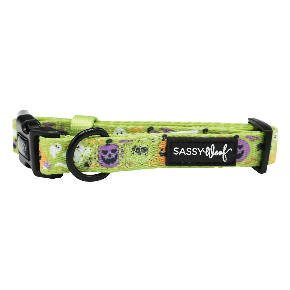 Dog Collar - Haunt Mess - Image 3