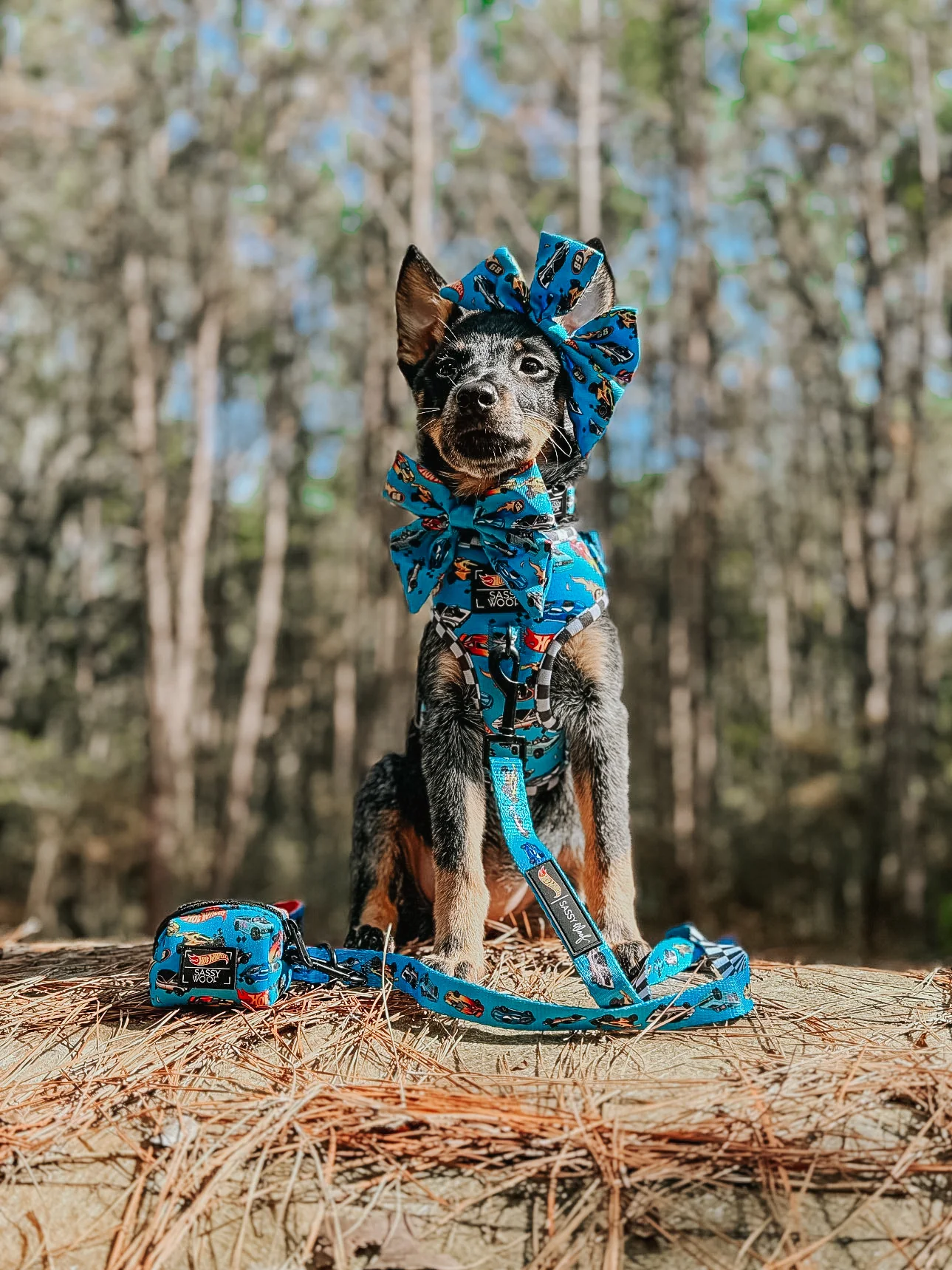 Dog Collar - Hot Wheels™ - Image 16