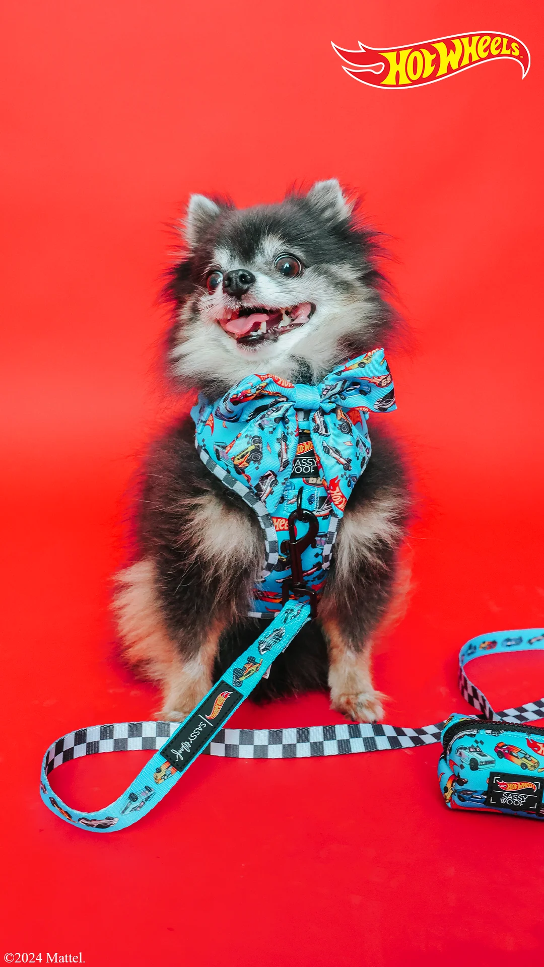 Dog Collar - Hot Wheels™ - Image 6