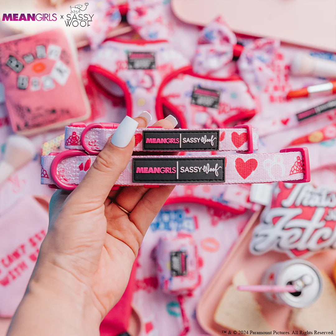 Dog Collar - Mean Girls™ - Image 5