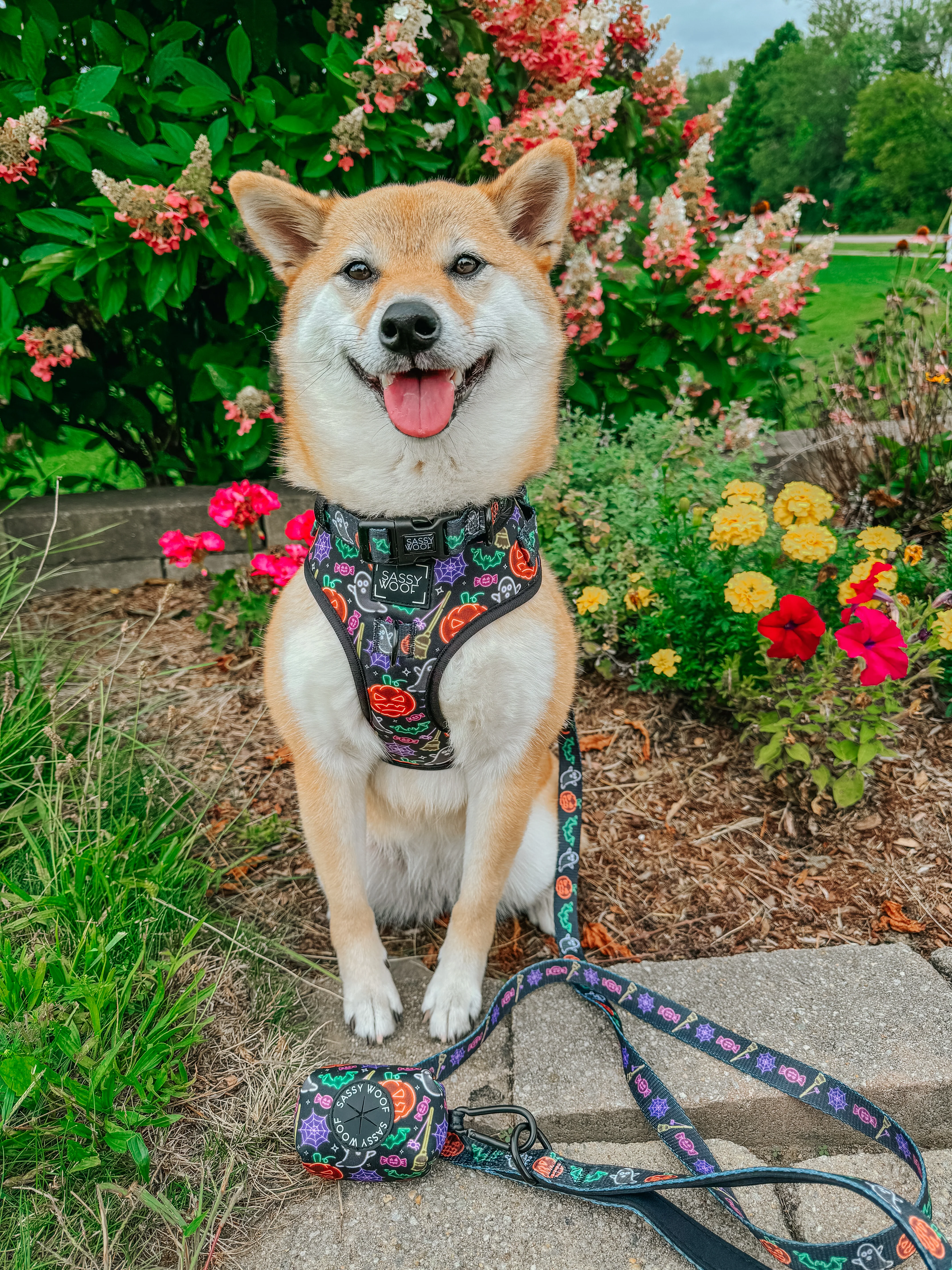 Dog Collar - Neon Frights - Image 6