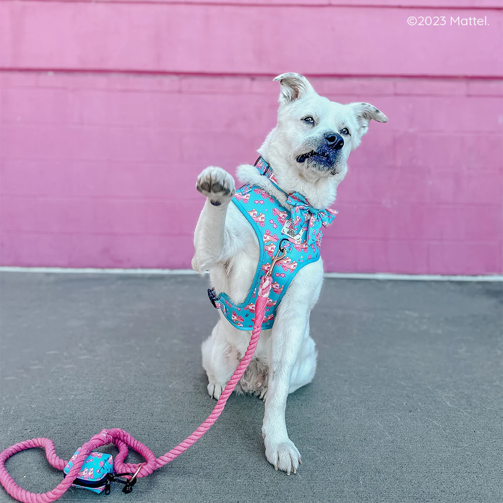Dog Collar - BARBIE™ On a Roll - Image 9
