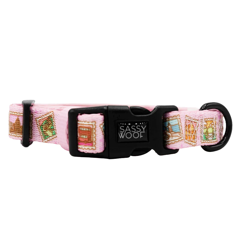 Dog Collar - Out of Office - Image 2
