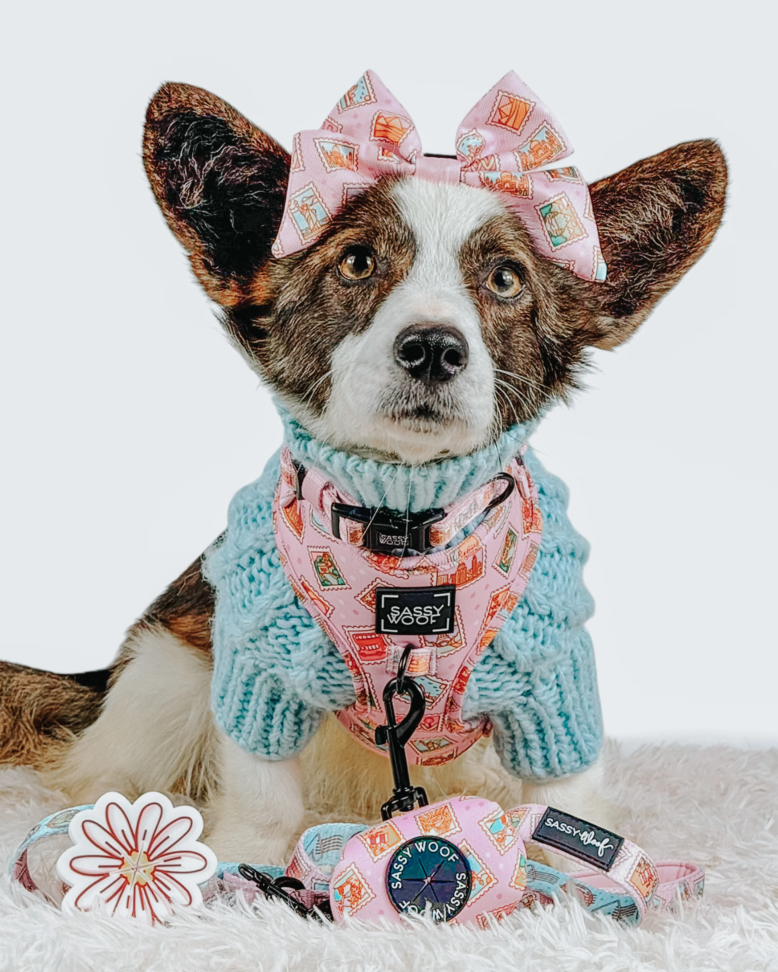 Dog Collar - Out of Office - Image 7