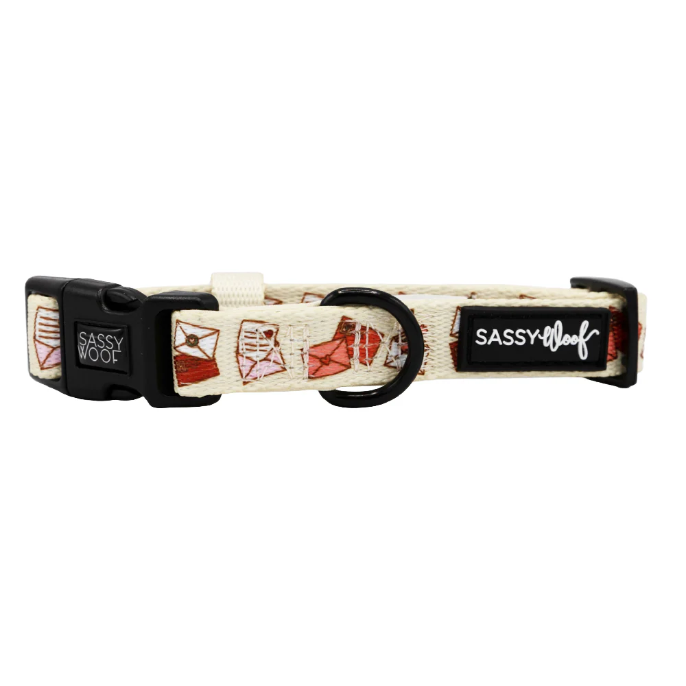 Dog Collar - P.S. I Woof You - Image 3