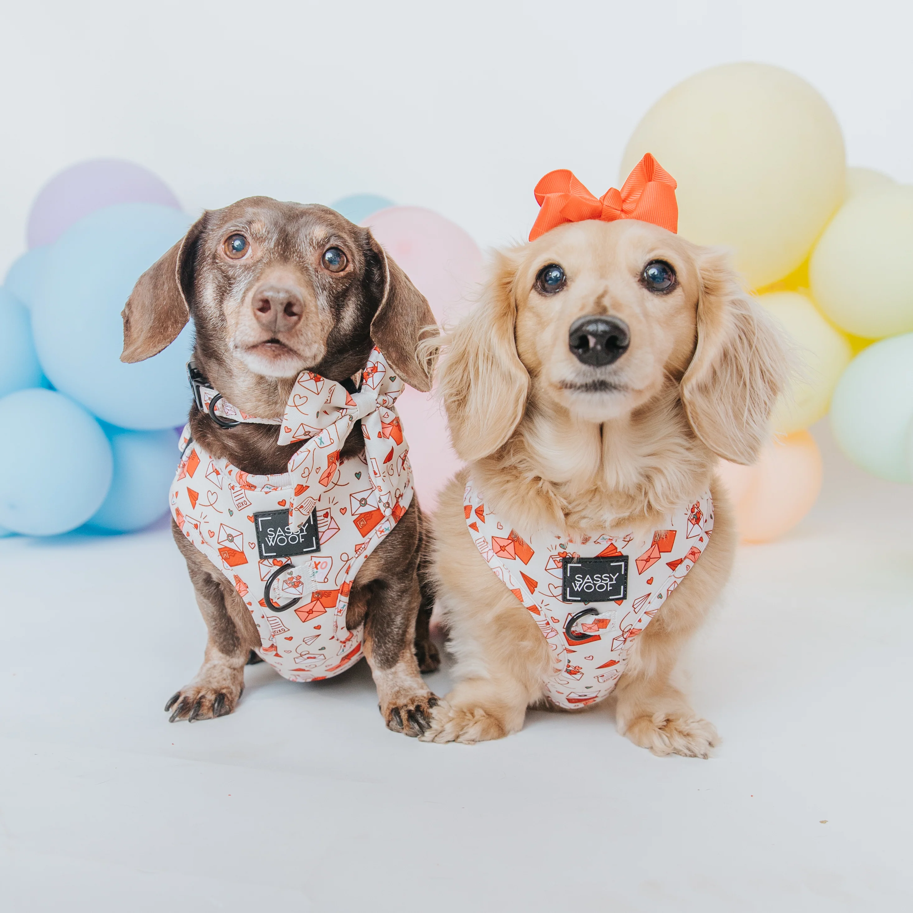 Dog Collar - P.S. I Woof You - Image 6