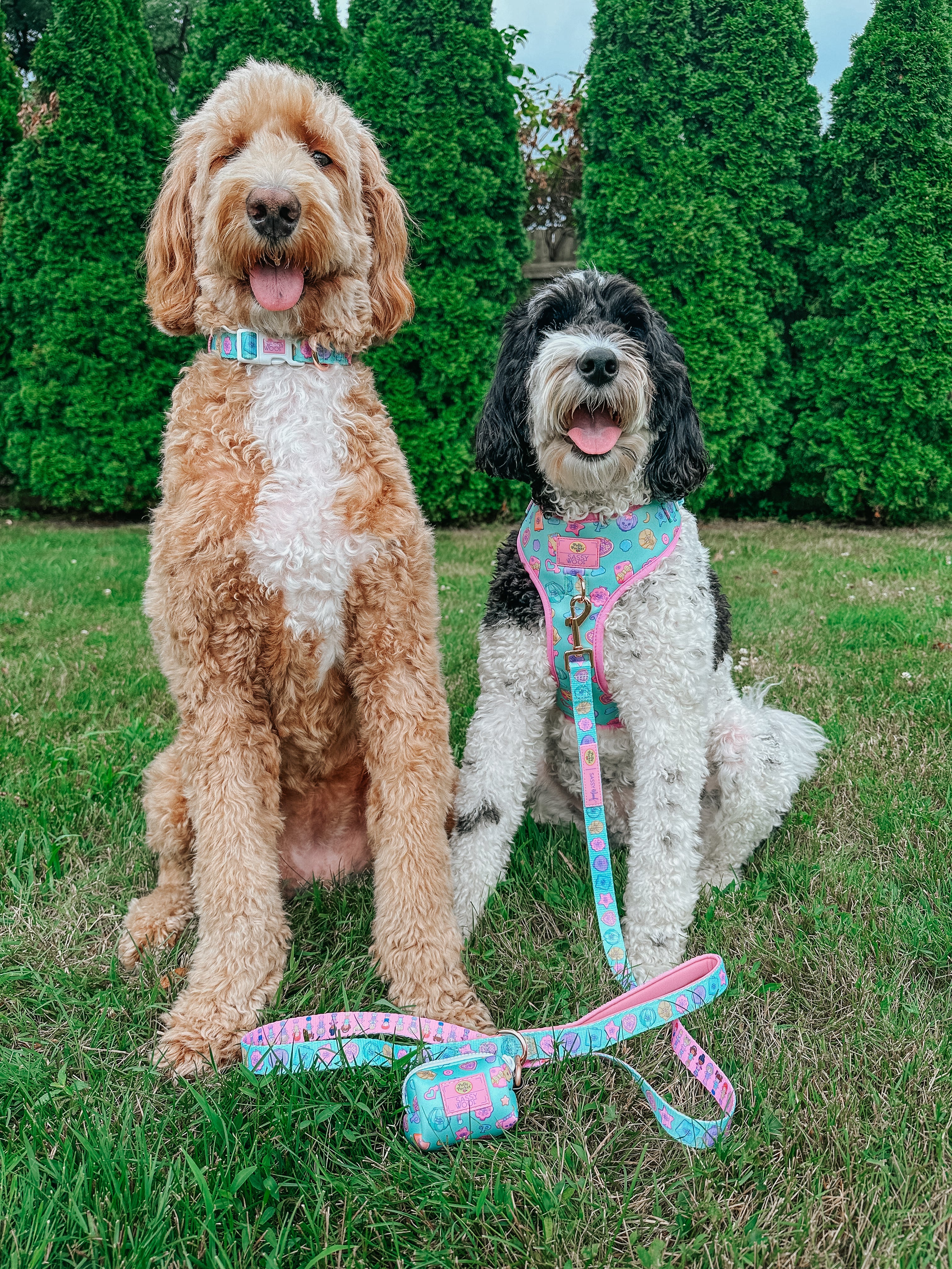Dog Collar - Polly Pocket™ - Image 8
