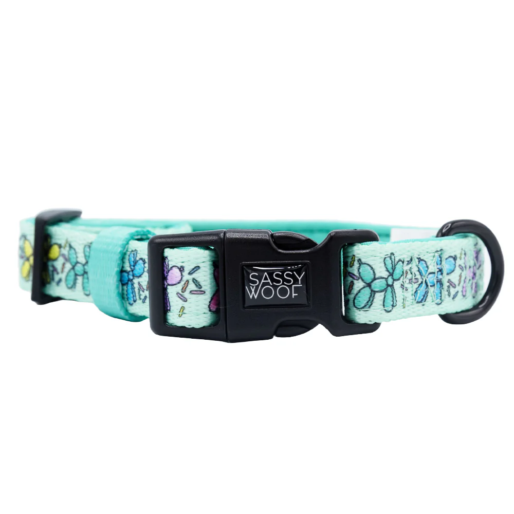 Dog Collar - Pup Pup Hooray - Image 2