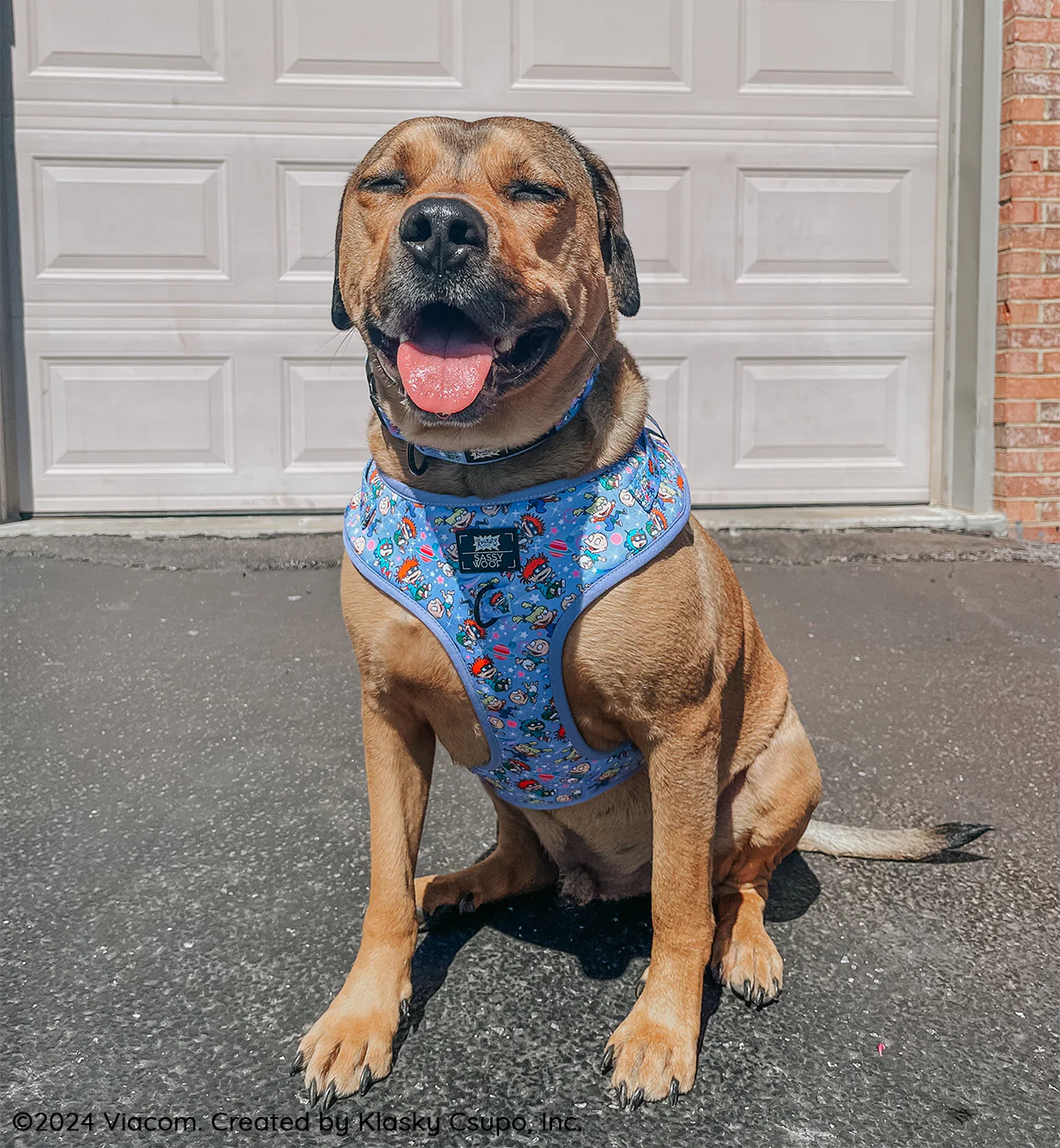 Dog Collar - Nickelodeon Rugrats™ - Image 7
