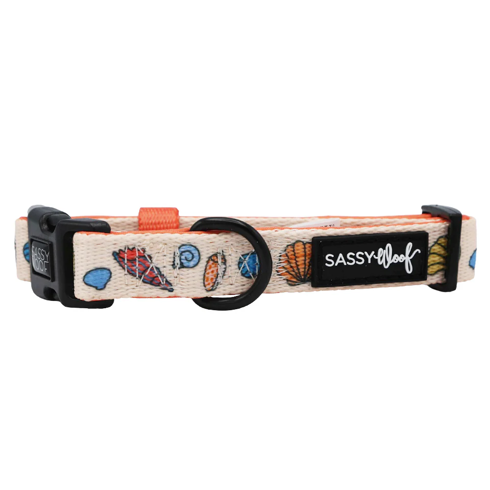 Dog Collar - Shell Yeah - Image 3