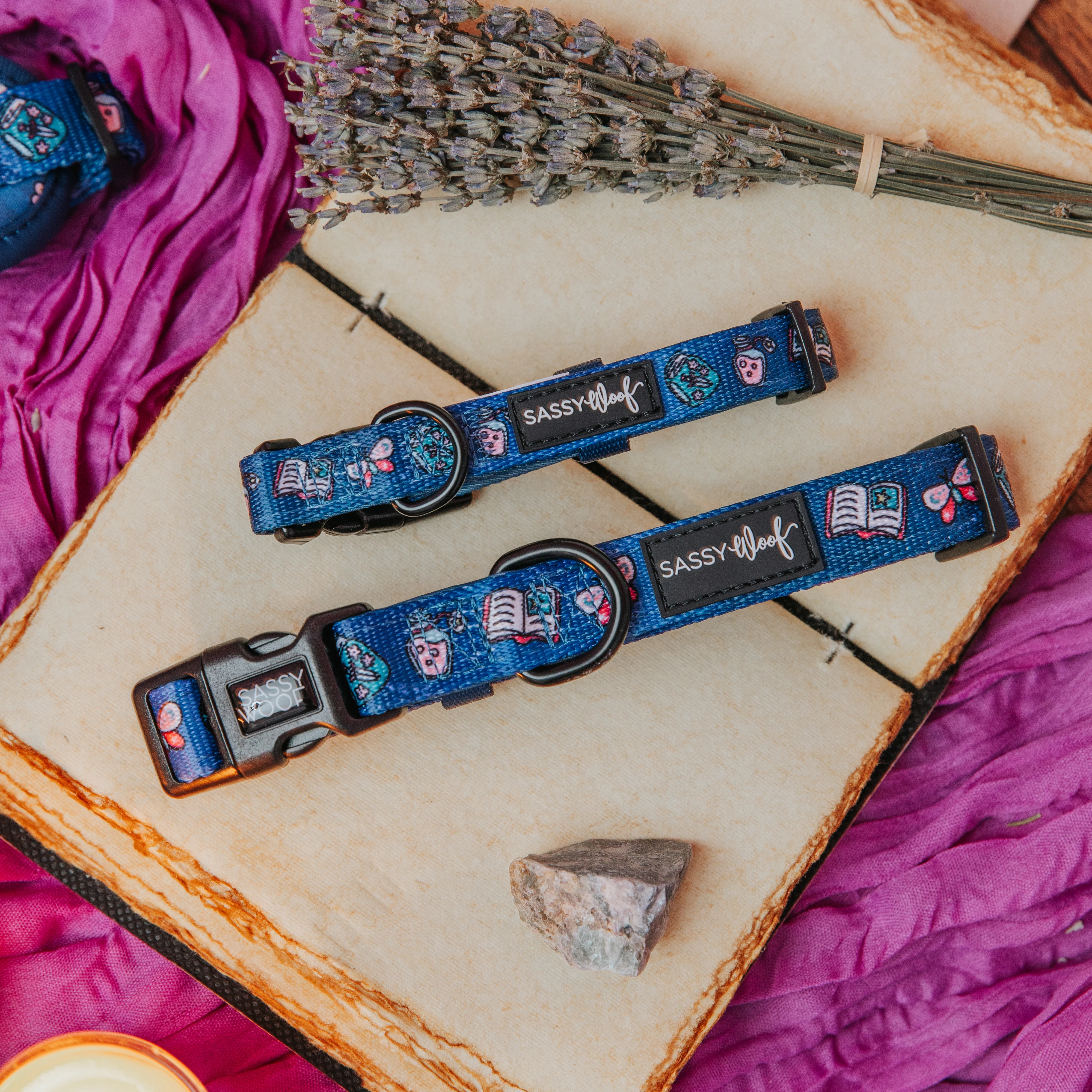 Dog Collar - Spellbound - Image 5