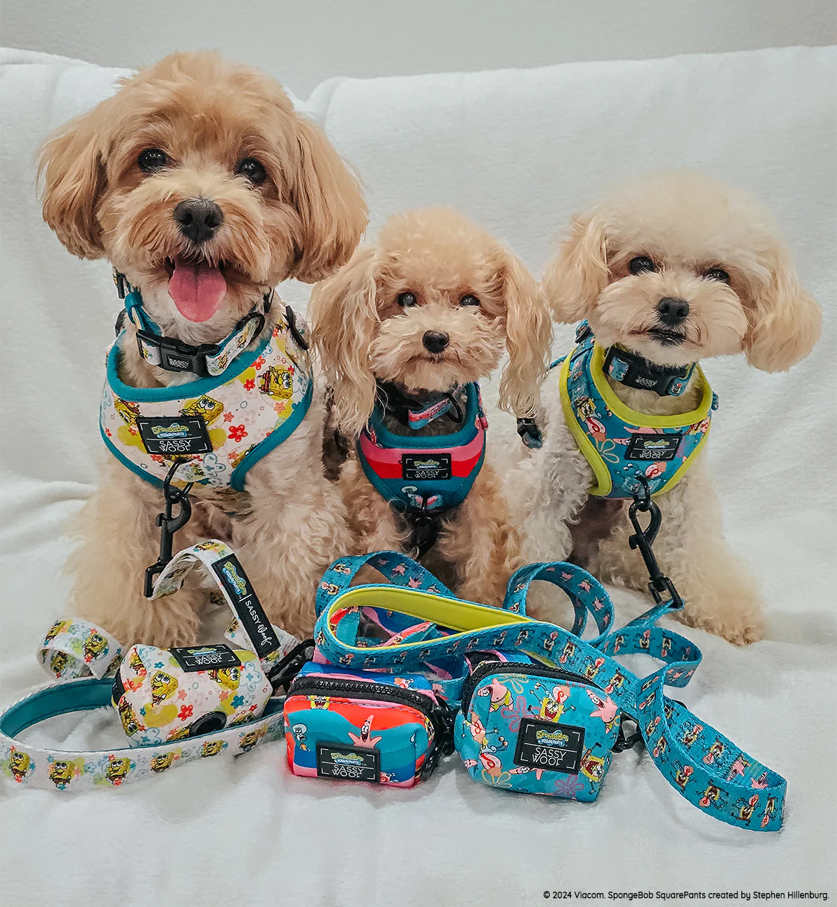 Dog Collar - SpongeBob SquarePants™ Bikini Bottom - Image 9