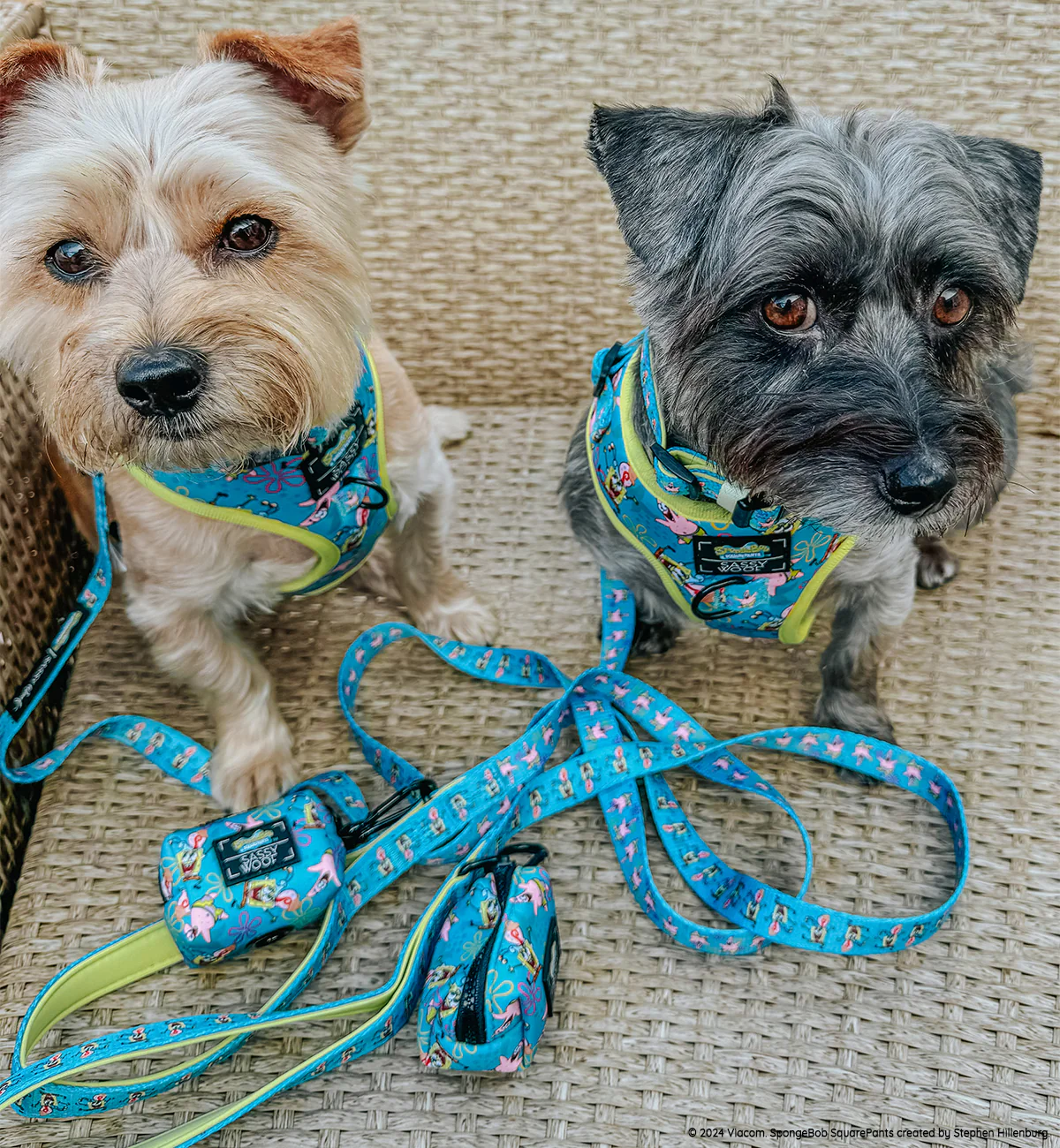 Dog Collar - SpongeBob SquarePants™ Jelly Fishin' - Image 7
