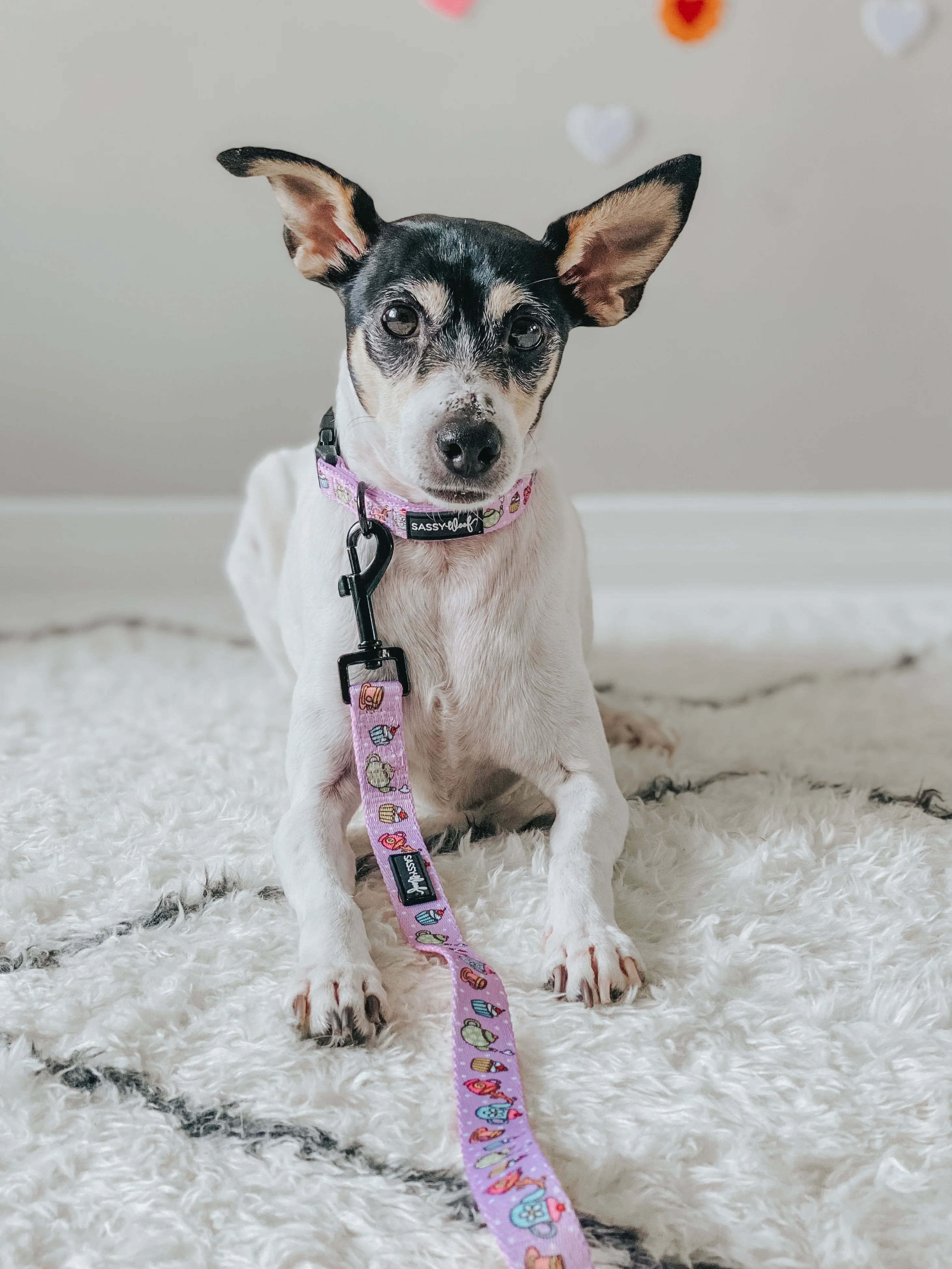 Dog Collar - Tea Pawty - Image 6