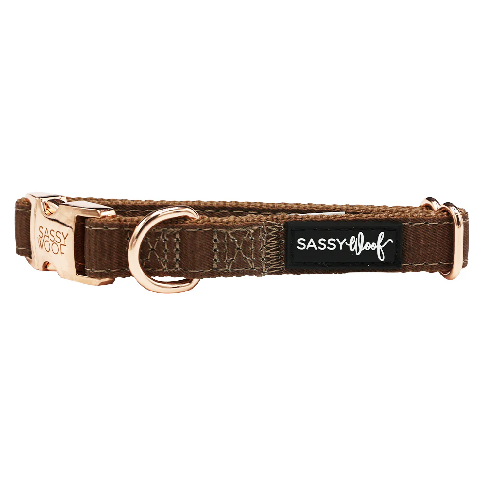 Dog Collar - Teddy - Image 3