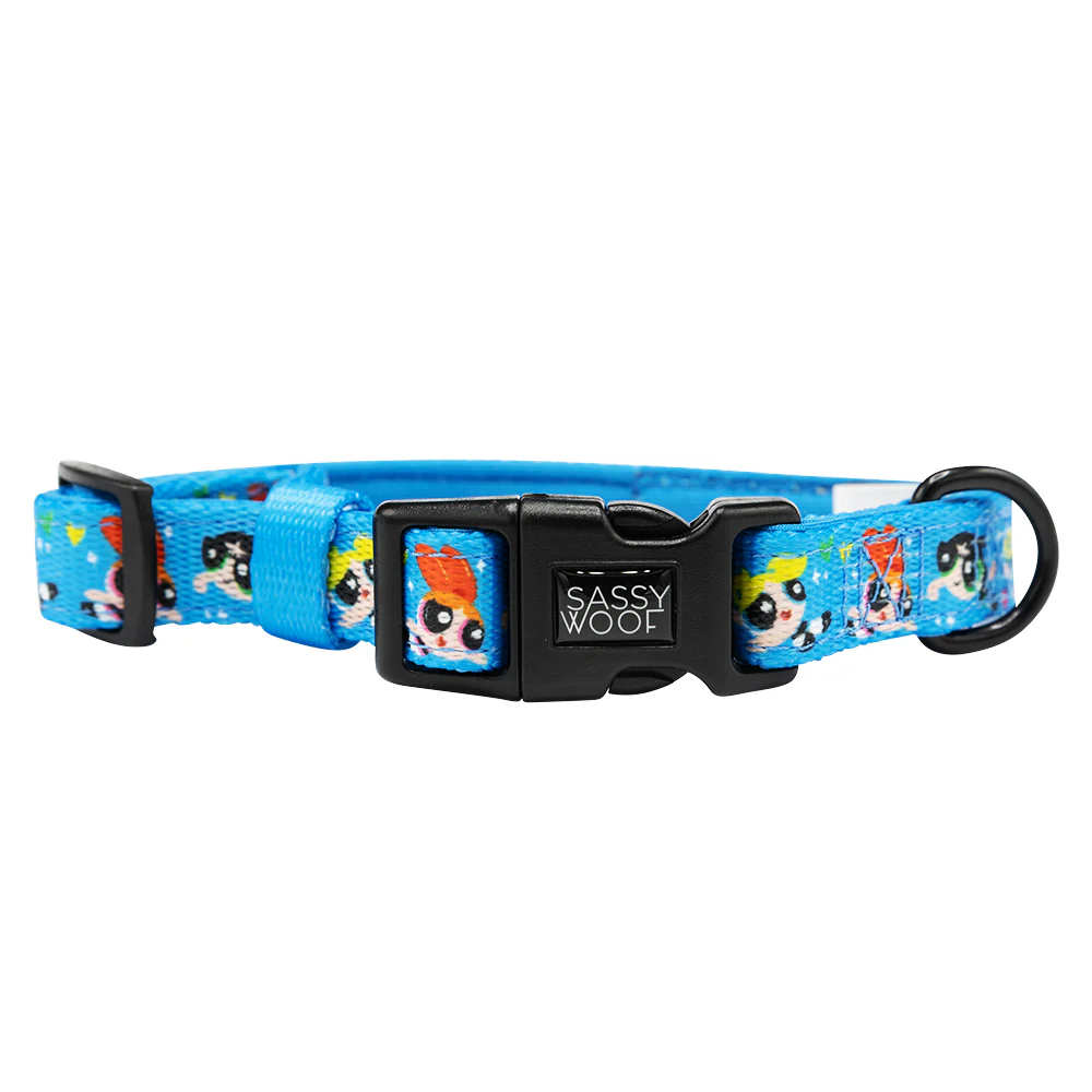 Dog Collar - The Powerpuff Girls™ (Blue) - Image 2
