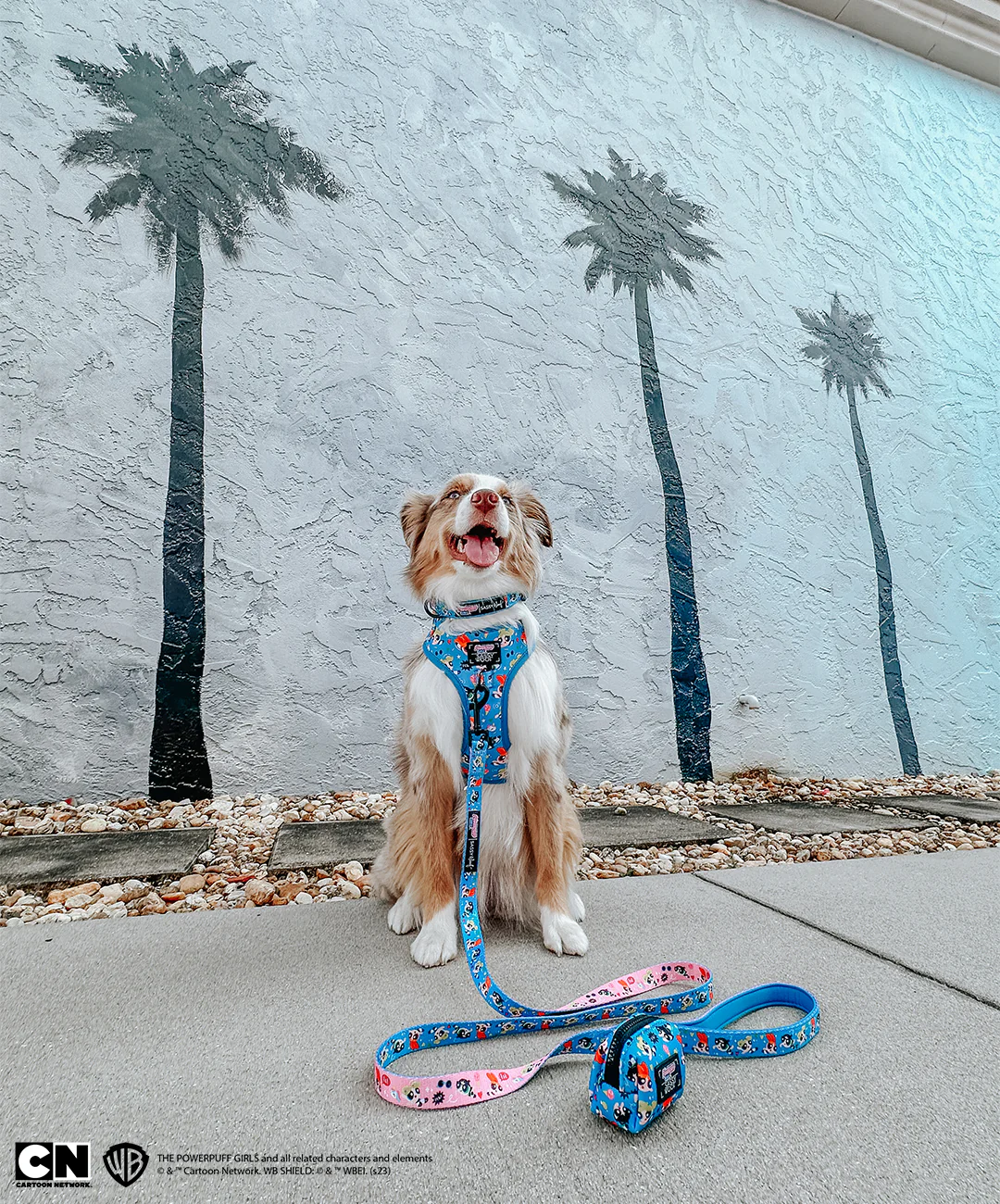 Dog Collar - The Powerpuff Girls™ (Blue) - Image 8
