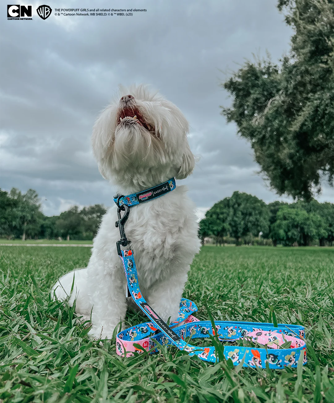 Dog Collar - The Powerpuff Girls™ (Blue) - Image 9