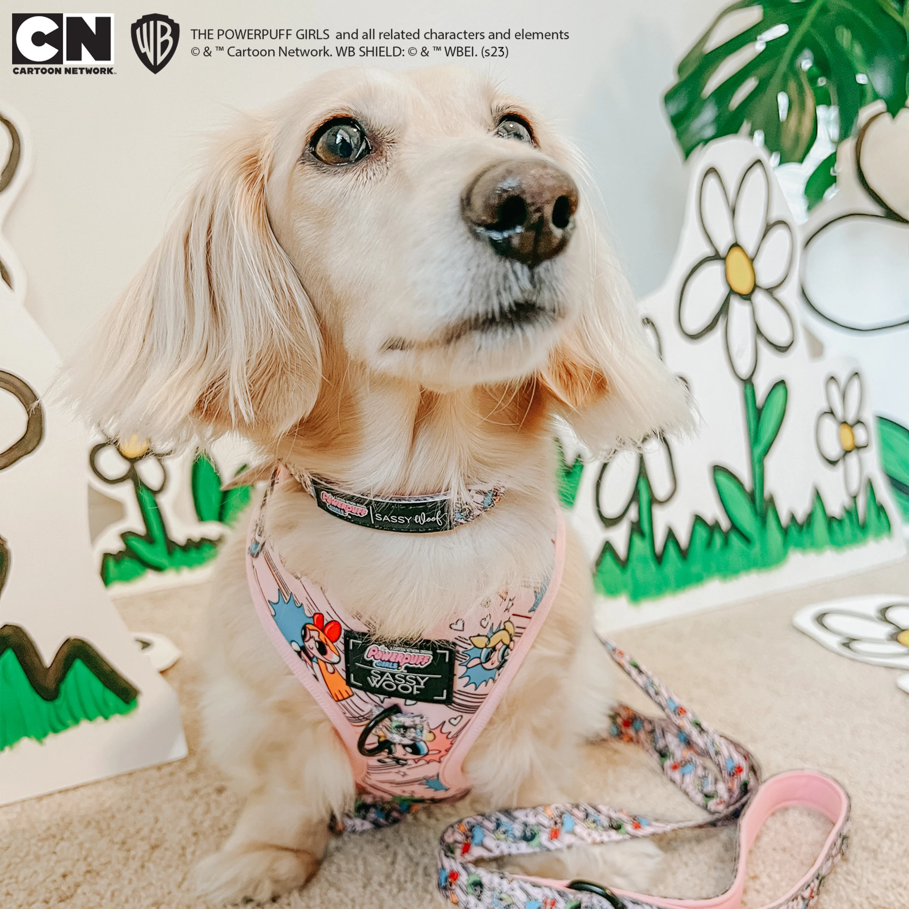 Dog Collar - The Powerpuff Girls™ (Pink) - Image 11