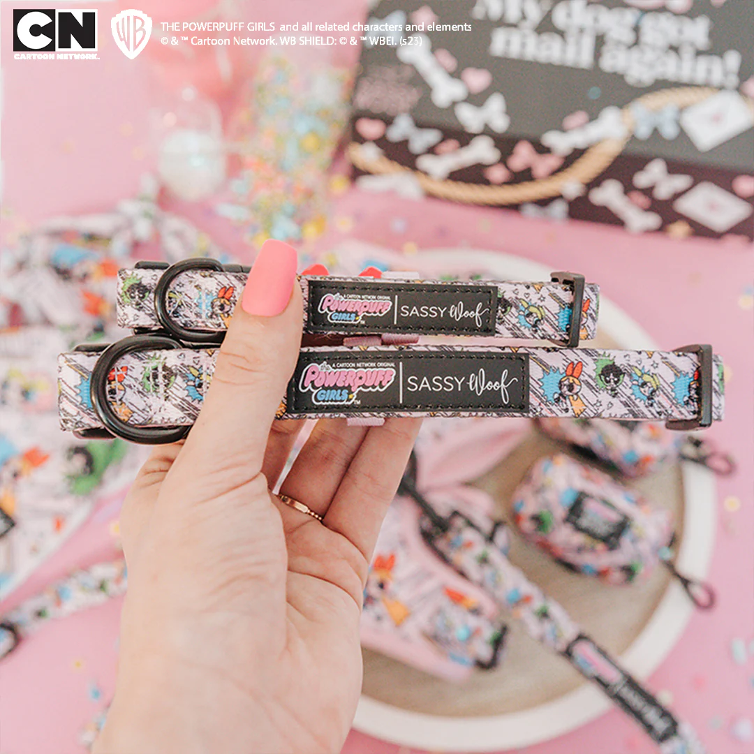 Dog Collar - The Powerpuff Girls™ (Pink) - Image 5