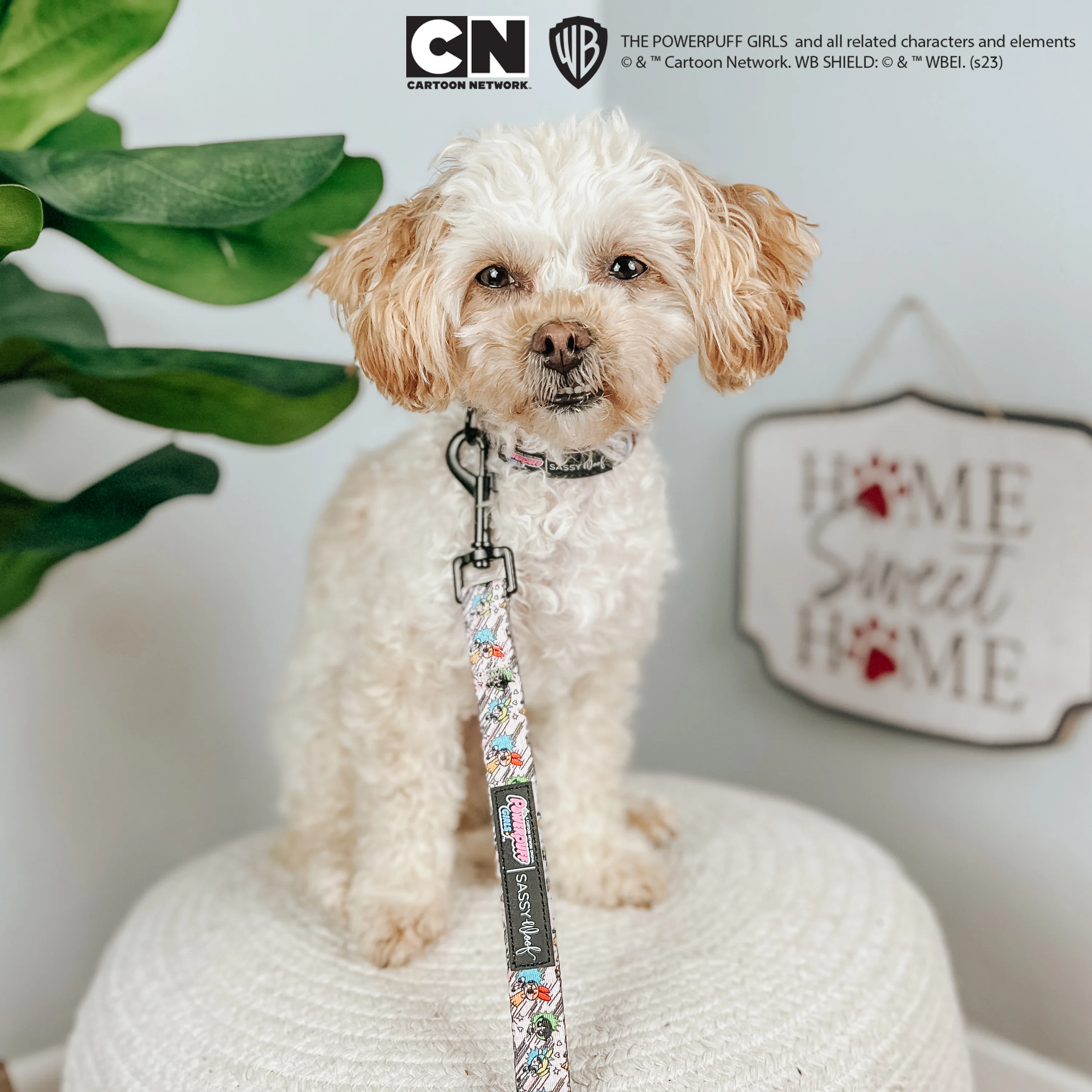 Dog Collar - The Powerpuff Girls™ (Pink) - Image 8