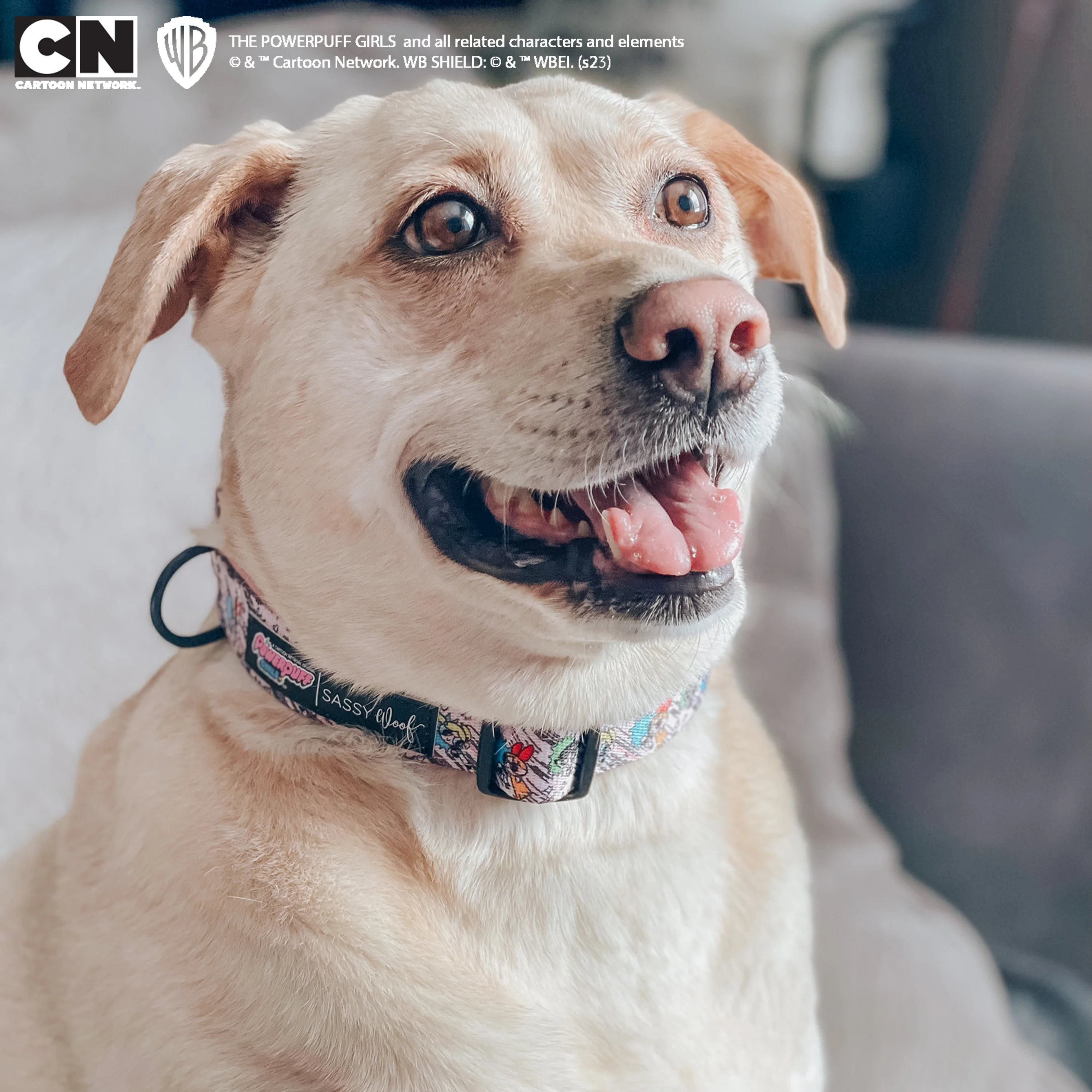 Dog Collar - The Powerpuff Girls™ (Pink) - Image 9