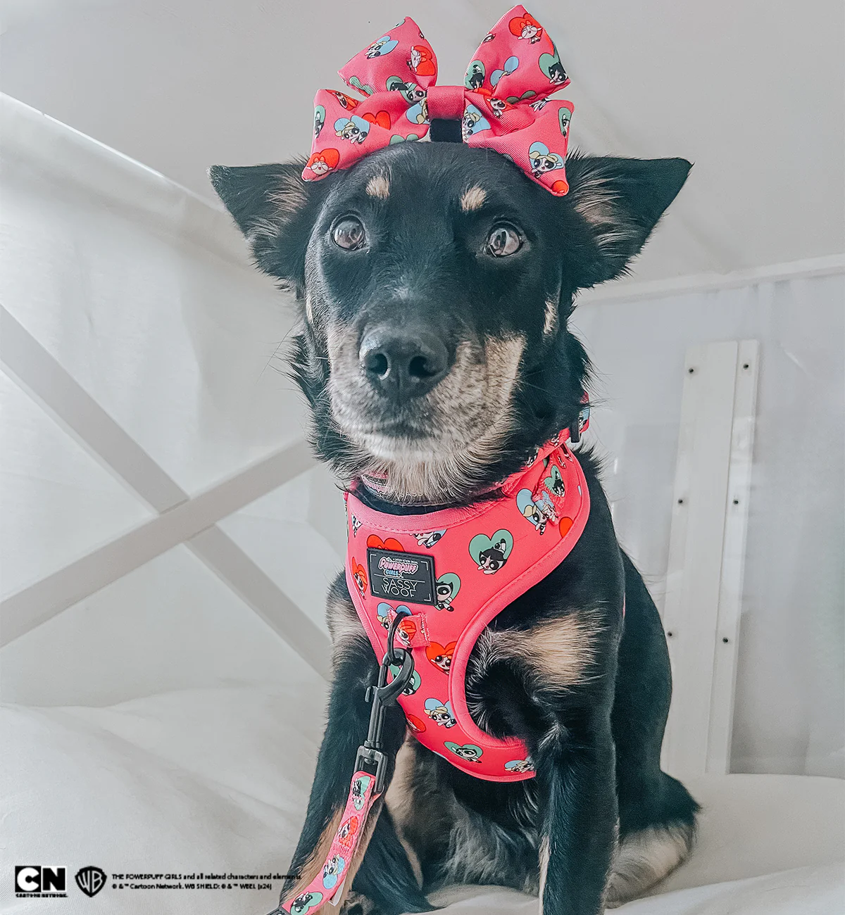 Dog Collar - The Powerpuff Girls™ (Love) - Image 10